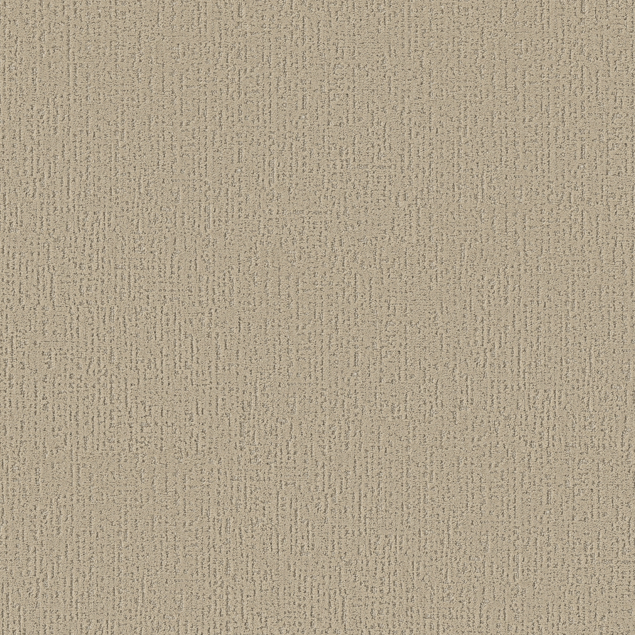 CURATED TONE SAFARI MAIN