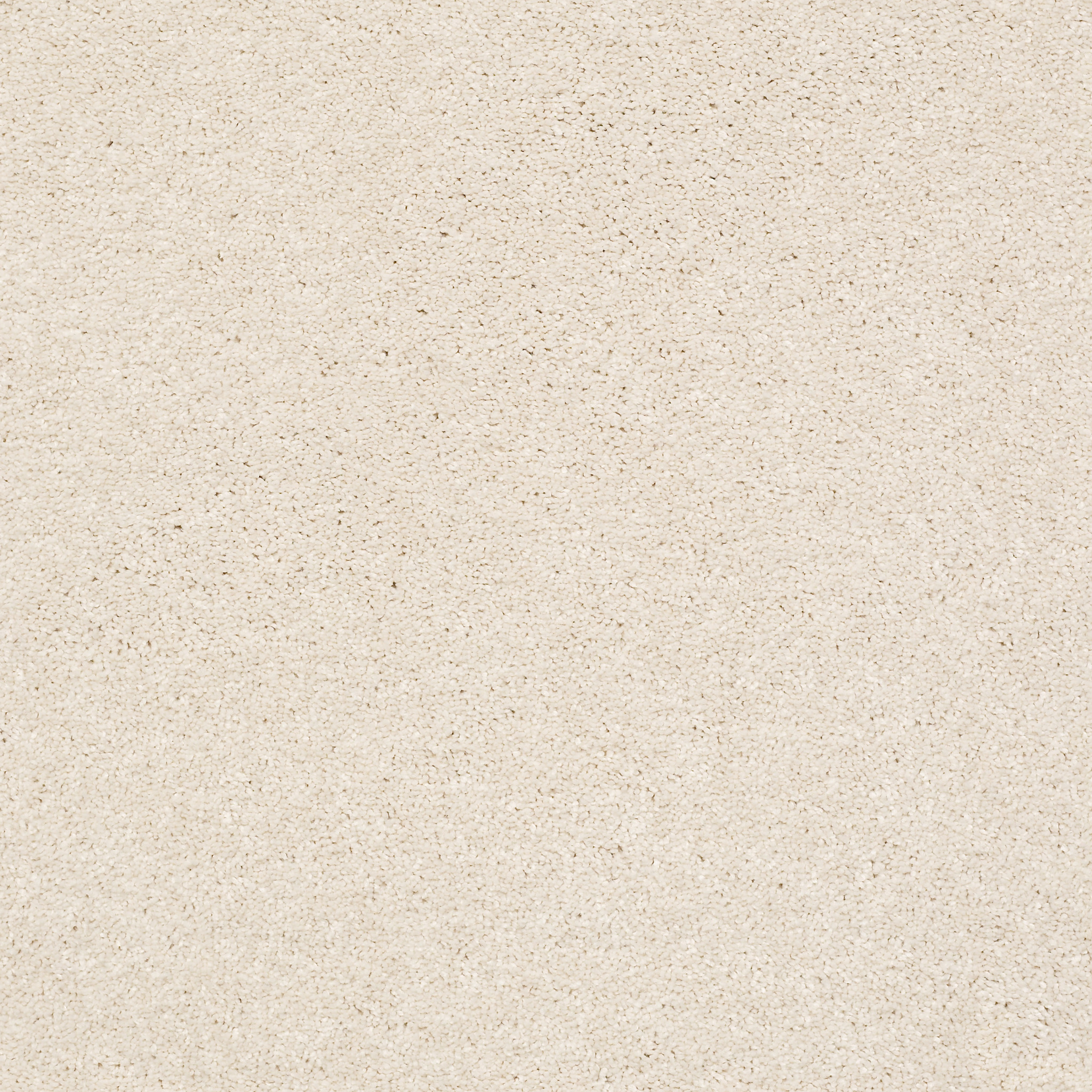 BASIC RULES SNOWFALL MAIN