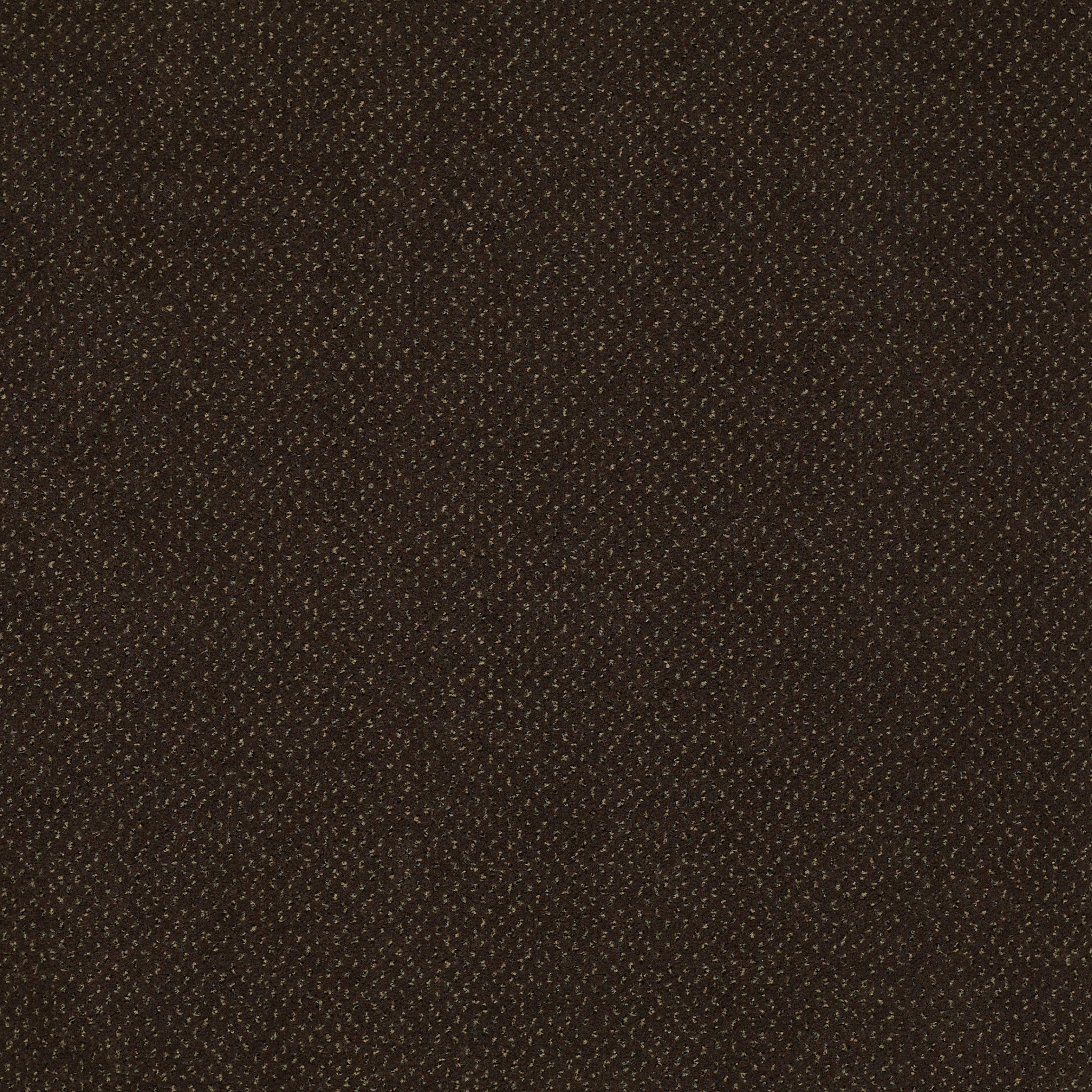 FUTURE-GENERATIONS-54644-BUILDERS-44704-main-image