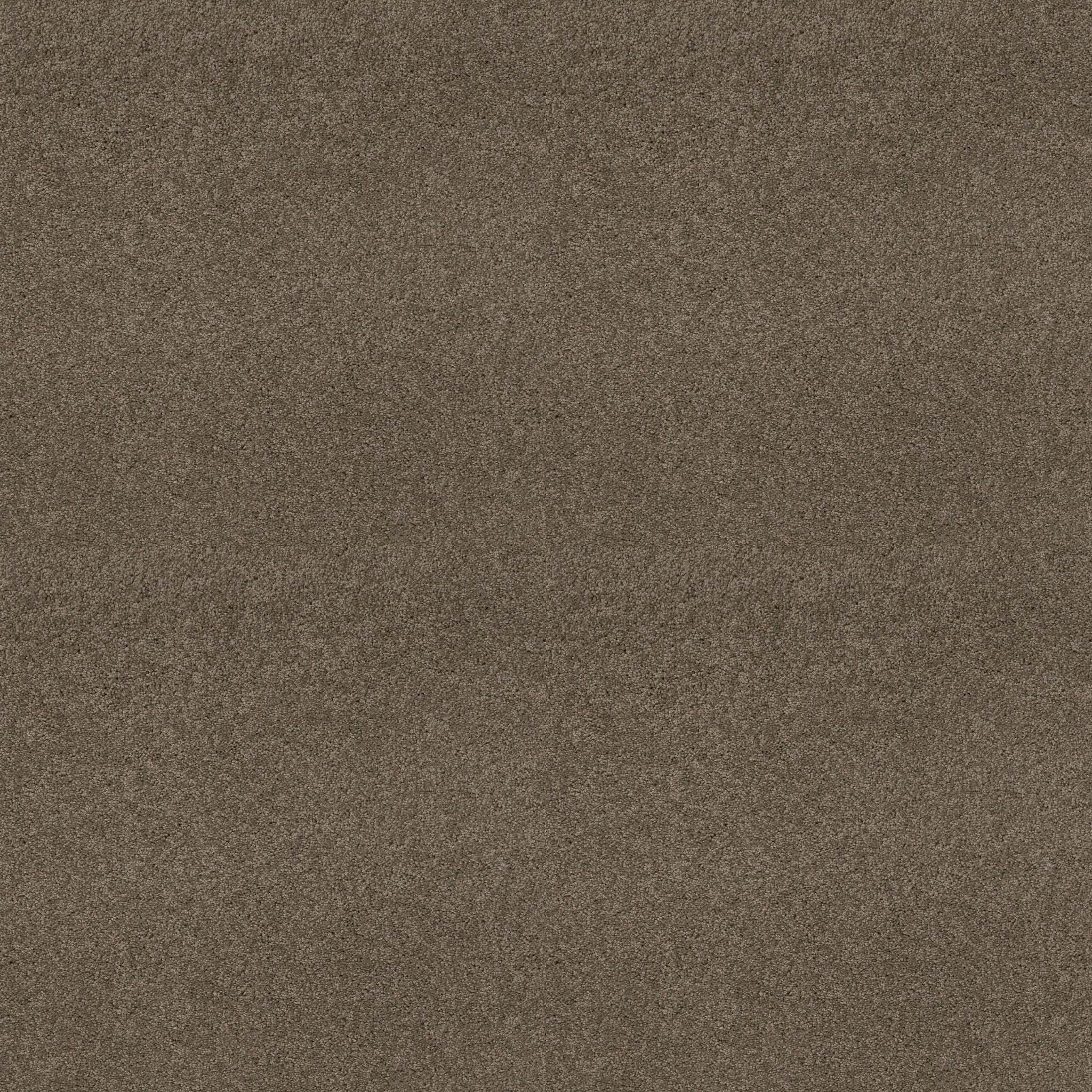 MY DESTINATION III FLAX MAIN