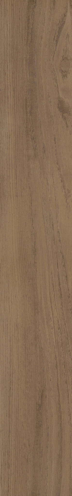PARAGON HD+NATURAL BEVEL MAGNOLIA 1TO1