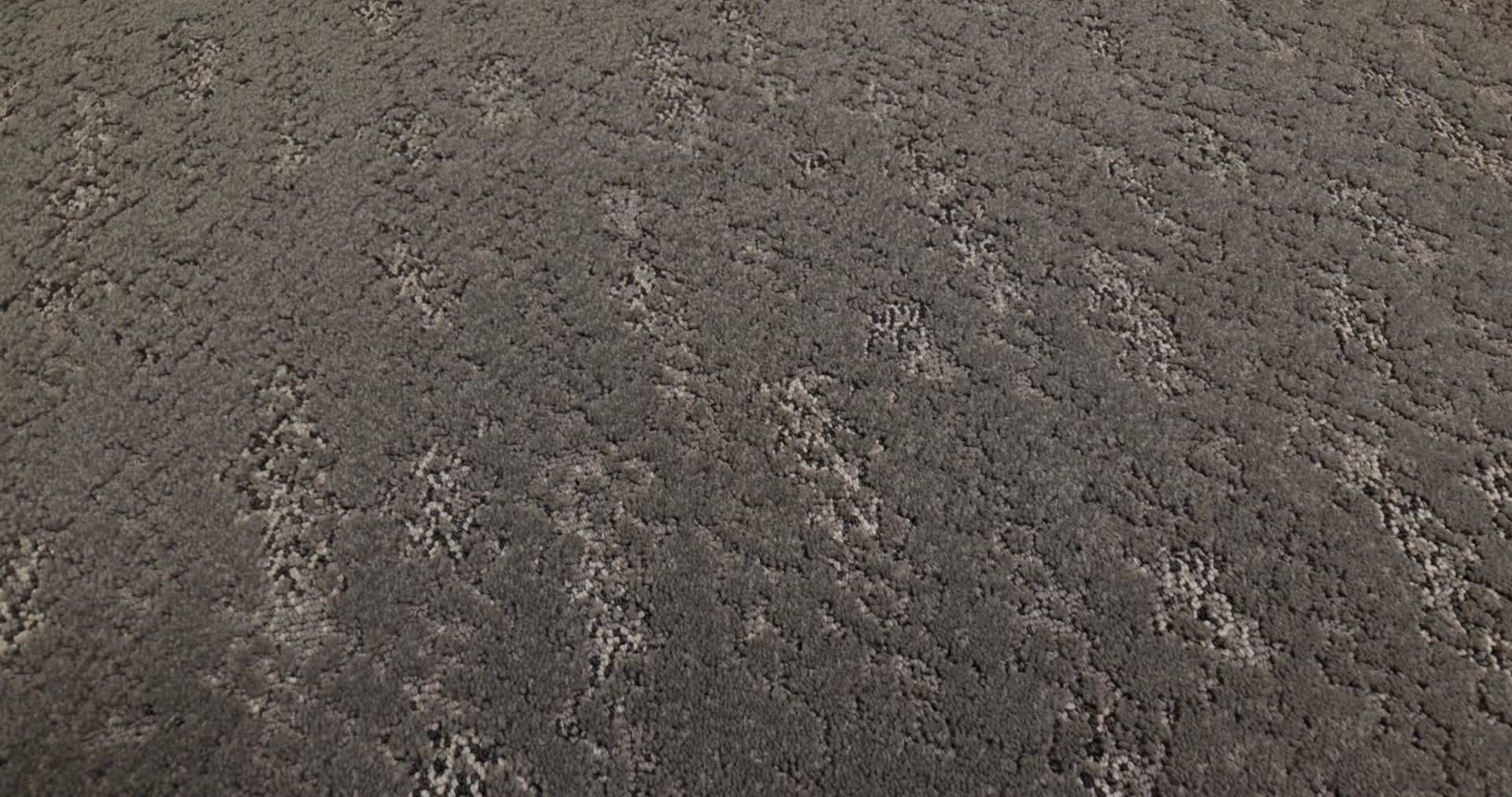 EVOKE WALNUT 360PROD