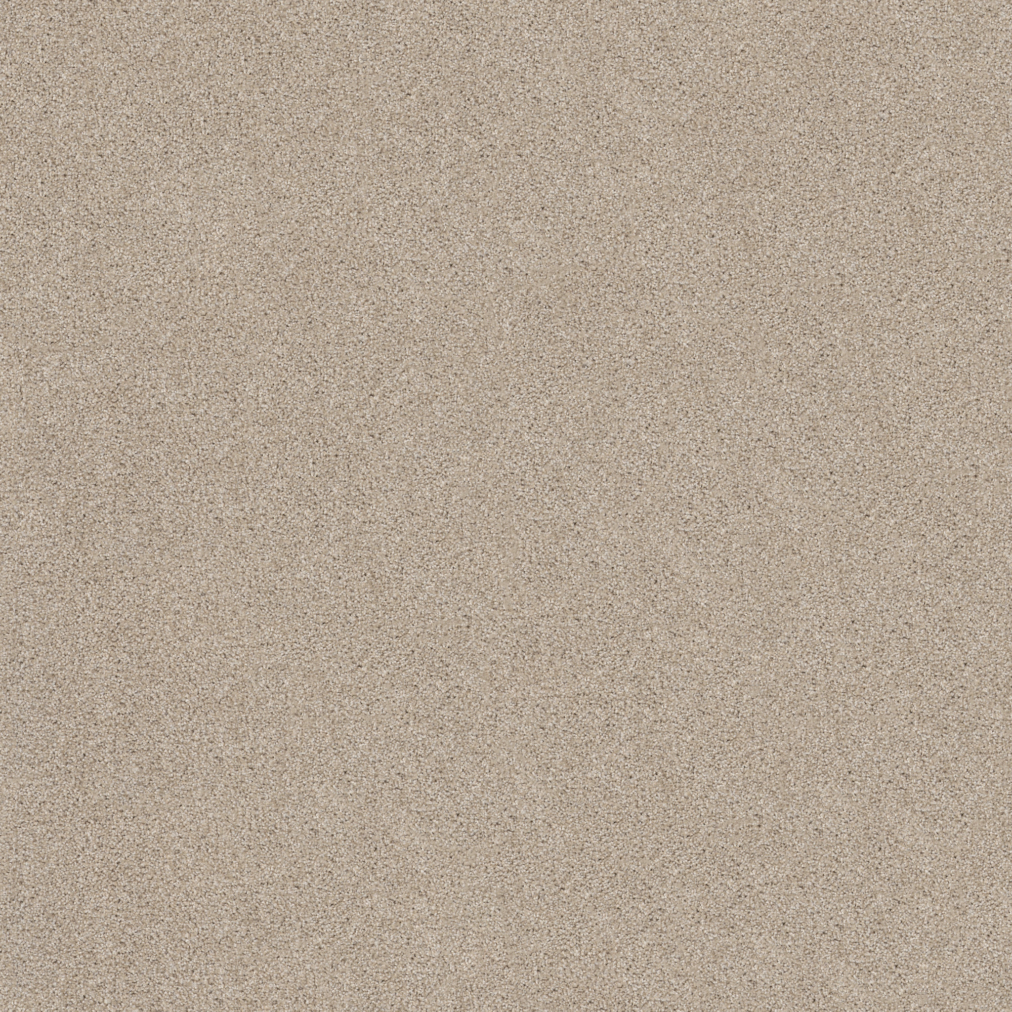 THAT'S RIGHT SCONE MAIN