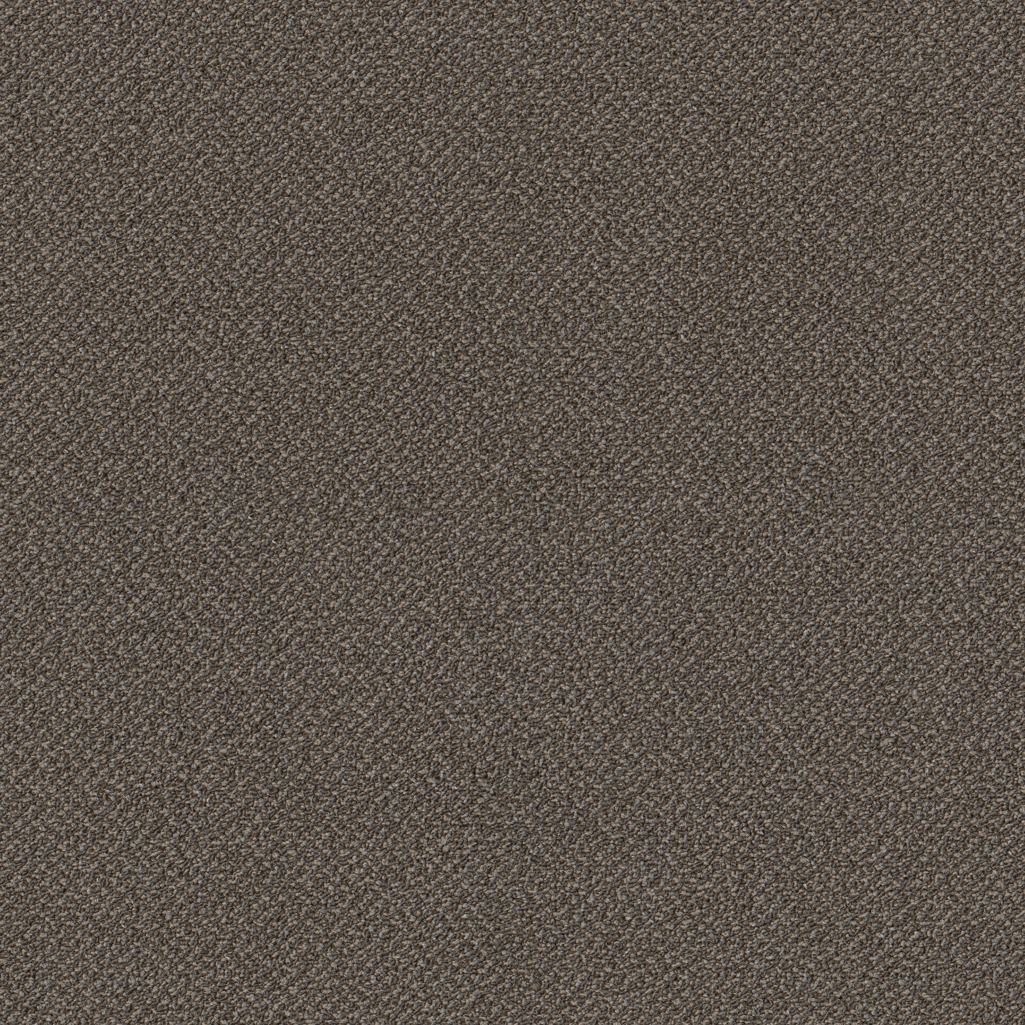 SMALL-WONDER-54984-RARITY-84702-main-image