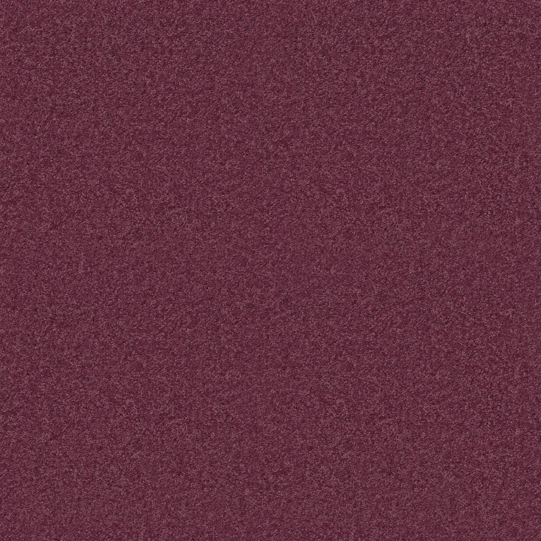 DYERSBURG CLASSIC 15' RADIANT ORCHID MAIN