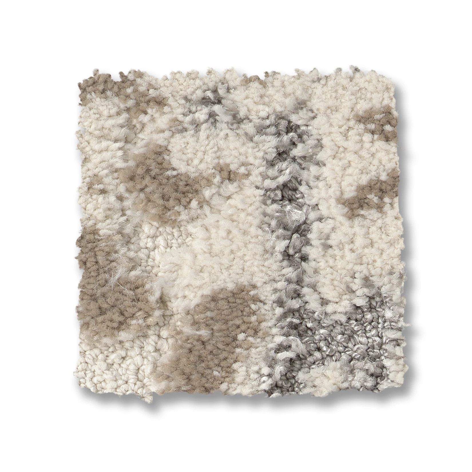 CARRERA OYSTER SWATCH