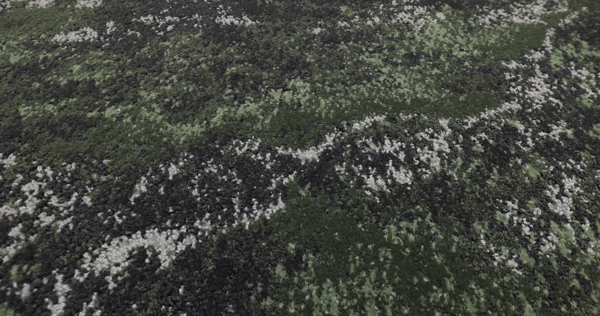 Beyond Moss Rotation360