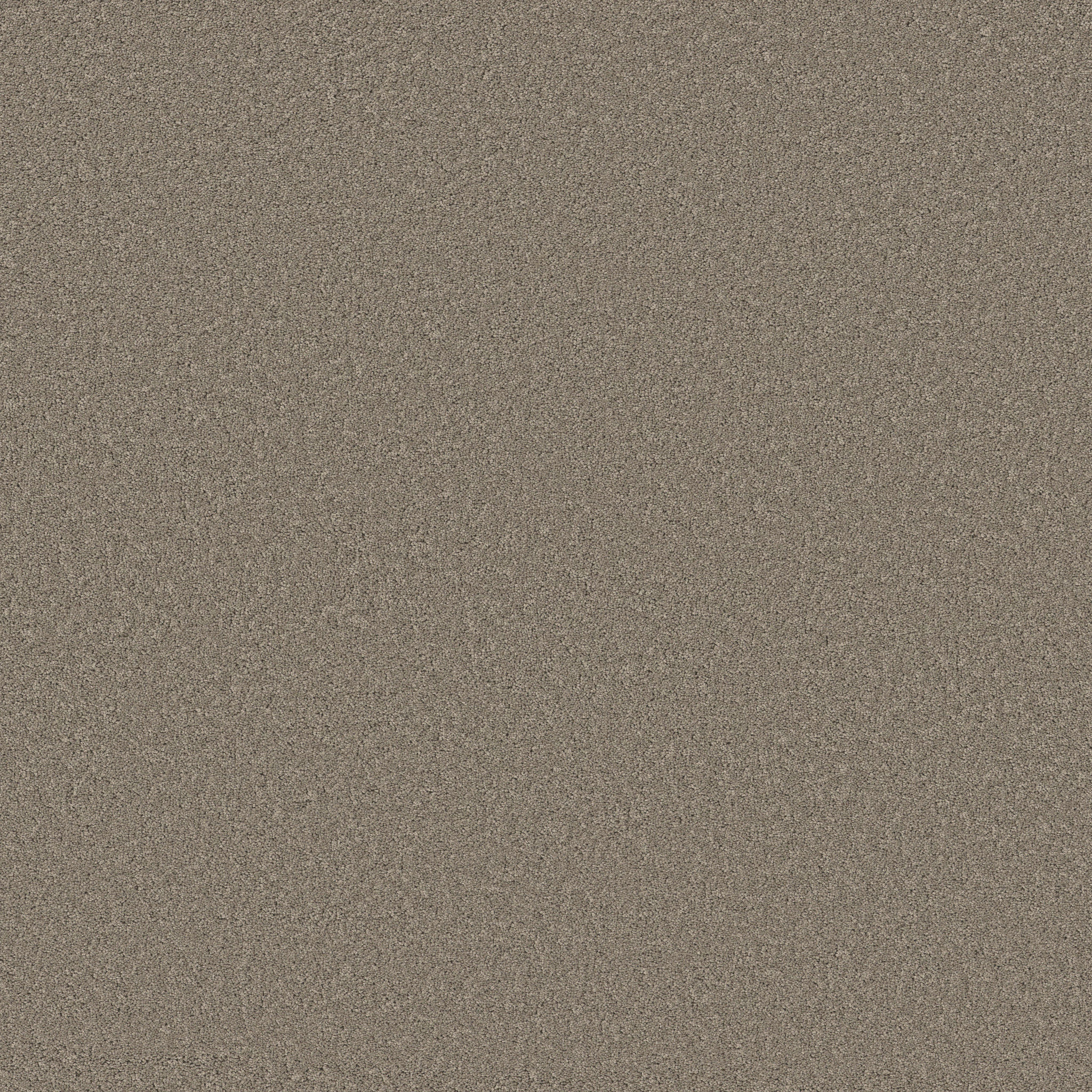 NEW MEMORIES S PIER MAIN