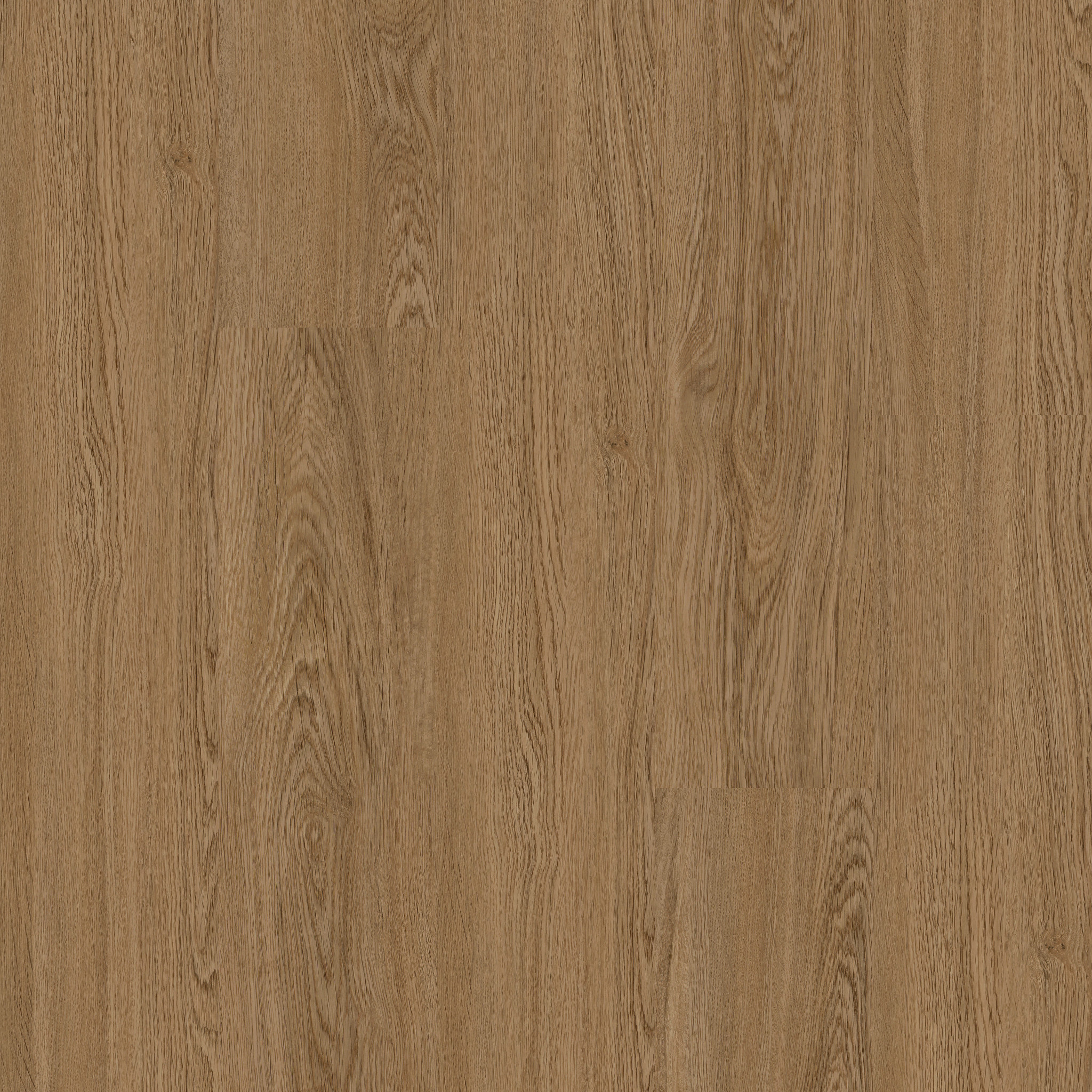 ALEXANDRIA OAK 14 MAIN