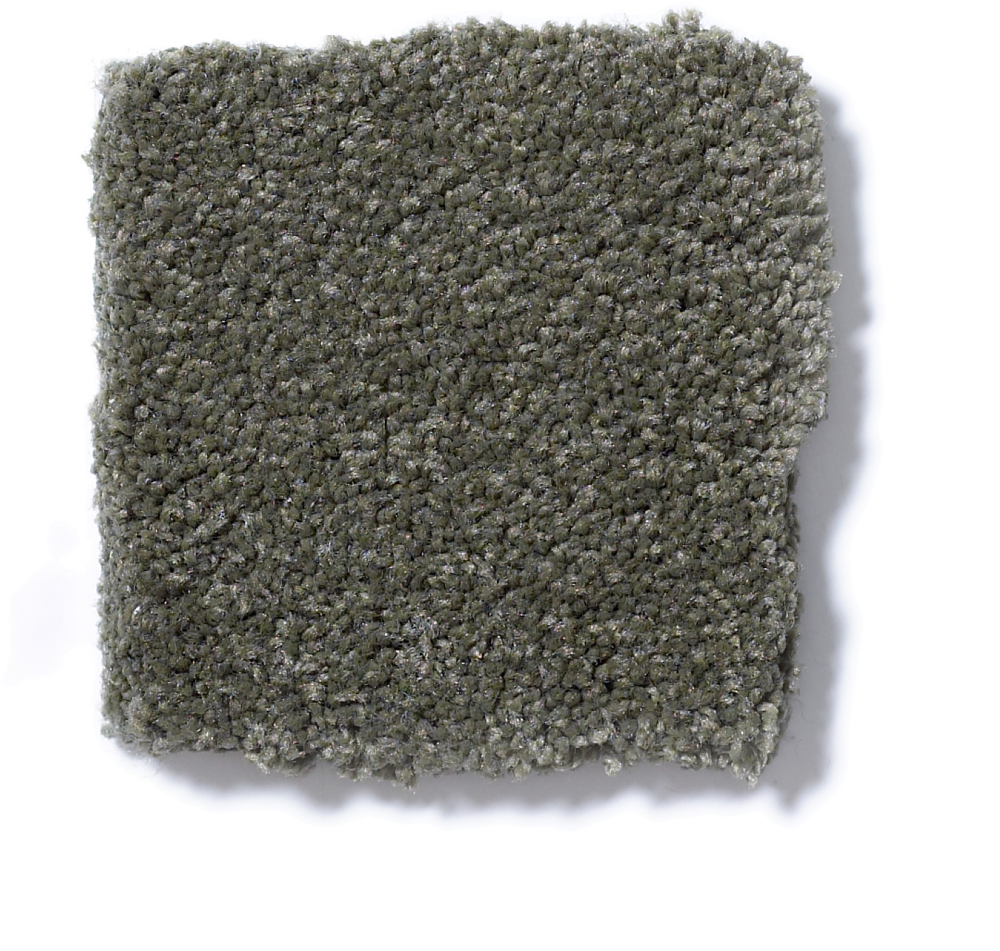 SANDY HOLLOW CLASSIC IV 12' ALPINE FERN SWATCH