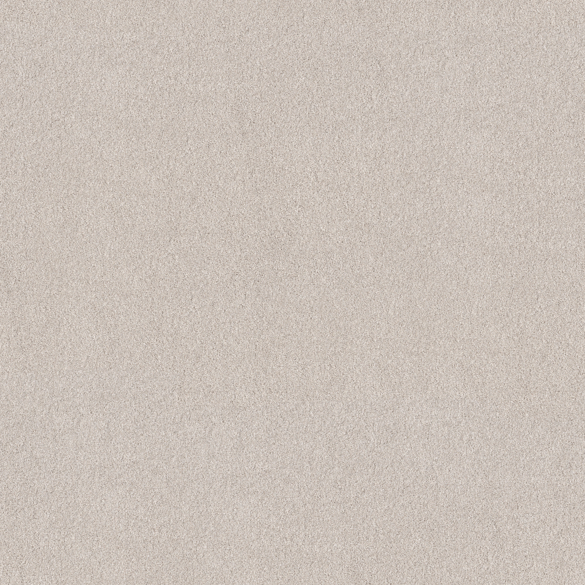 BLENDED TOUCH II KASHMIR WHITE MAIN