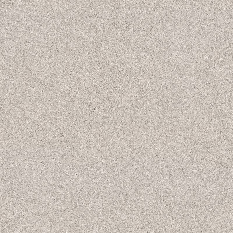Blended Touch II 5E886 Broadloom Carpet in Tweed color, 12ft width, made from 100% PET polyester