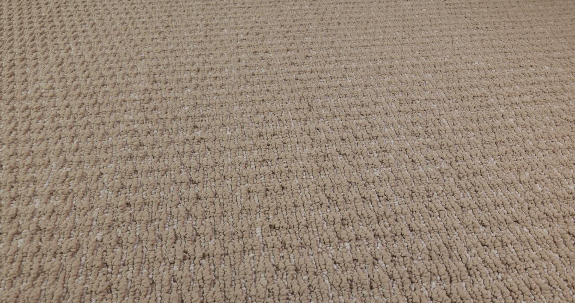 COZY EMBRACE SUN BLEACHED 360PROD