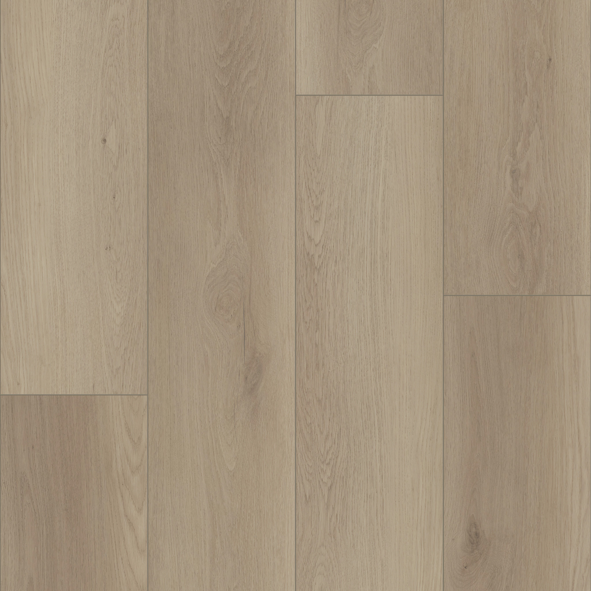 NORTHERN VOYAGE 9 CALISTOGA MAIN