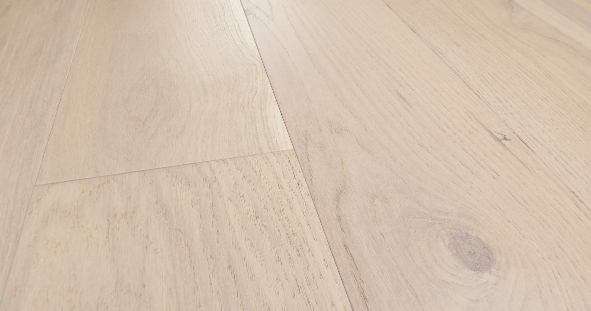 NOBLE HALL REGAL 360PROD