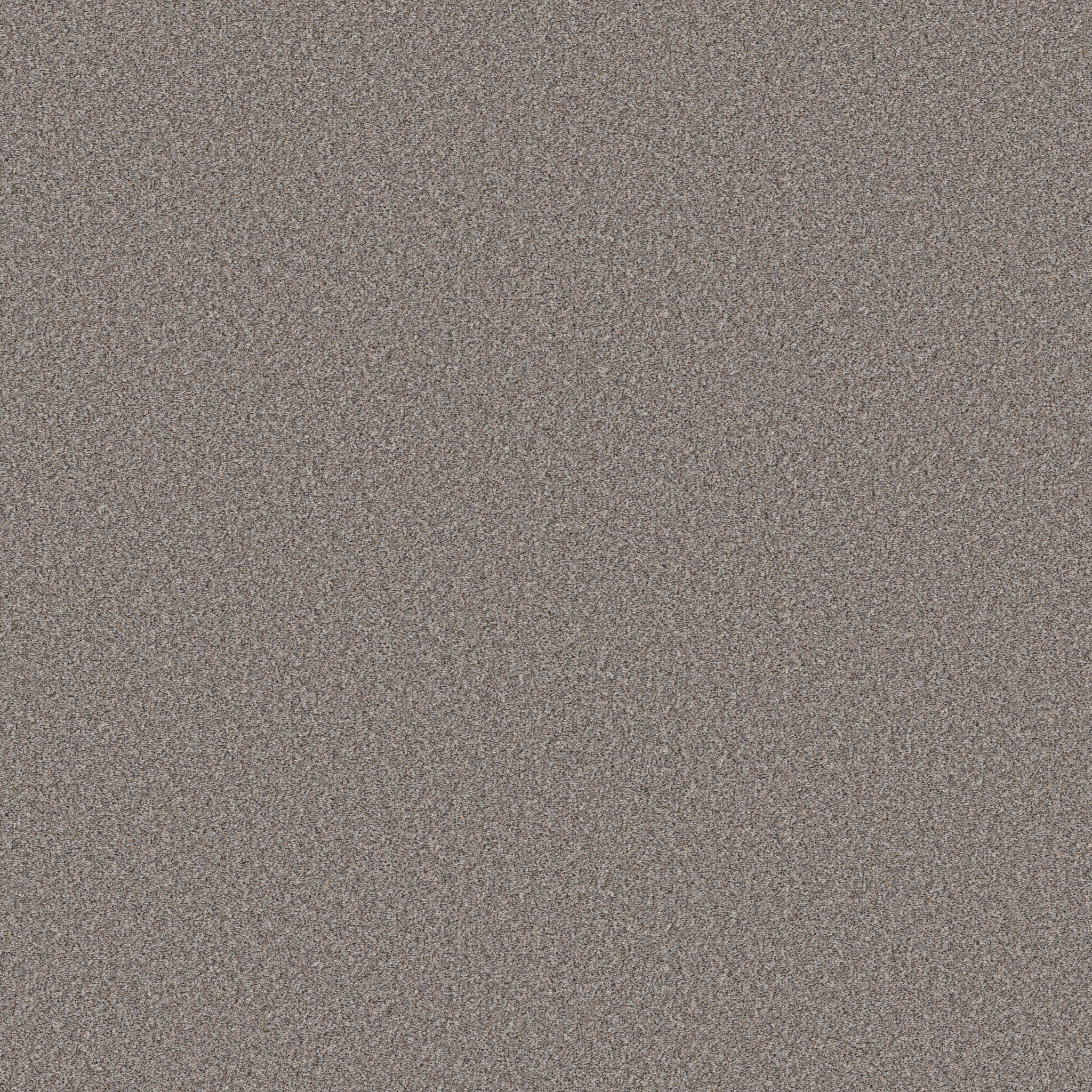 WONDERLAND II PIER MAIN