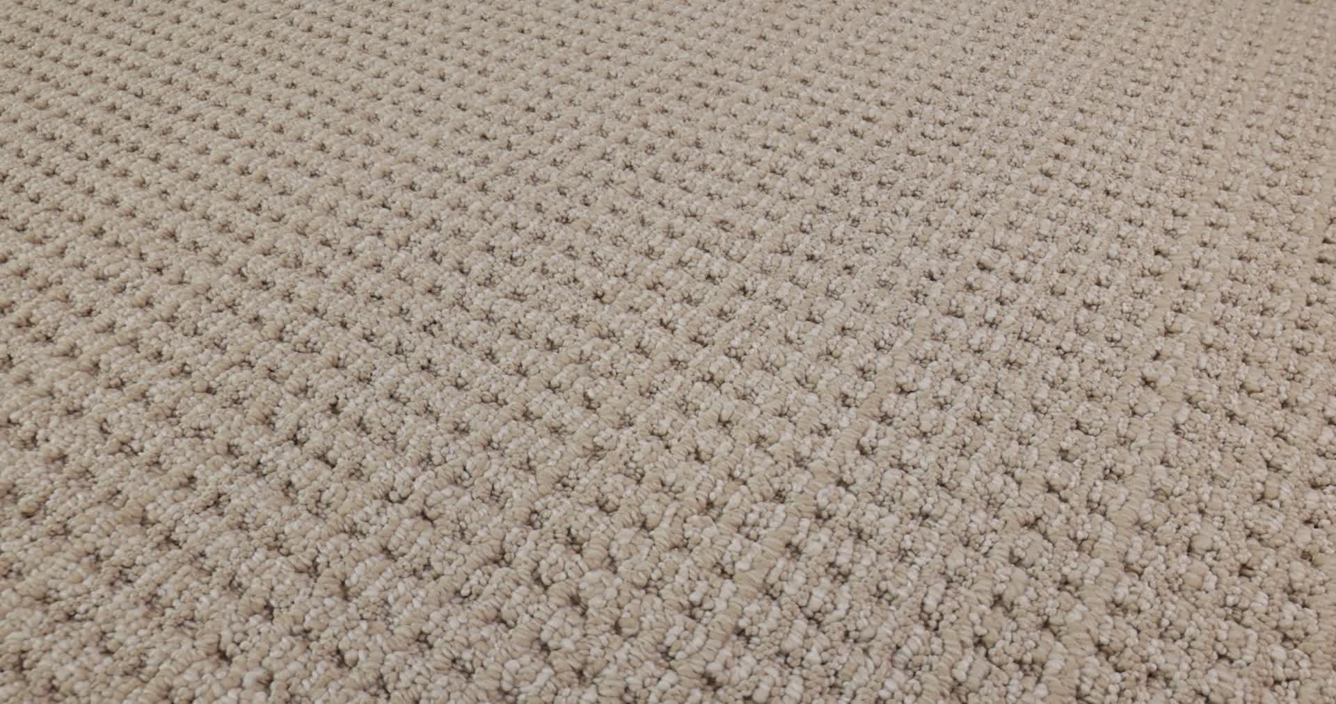 FINELY DETAILED SUN BLEACHED 360PROD