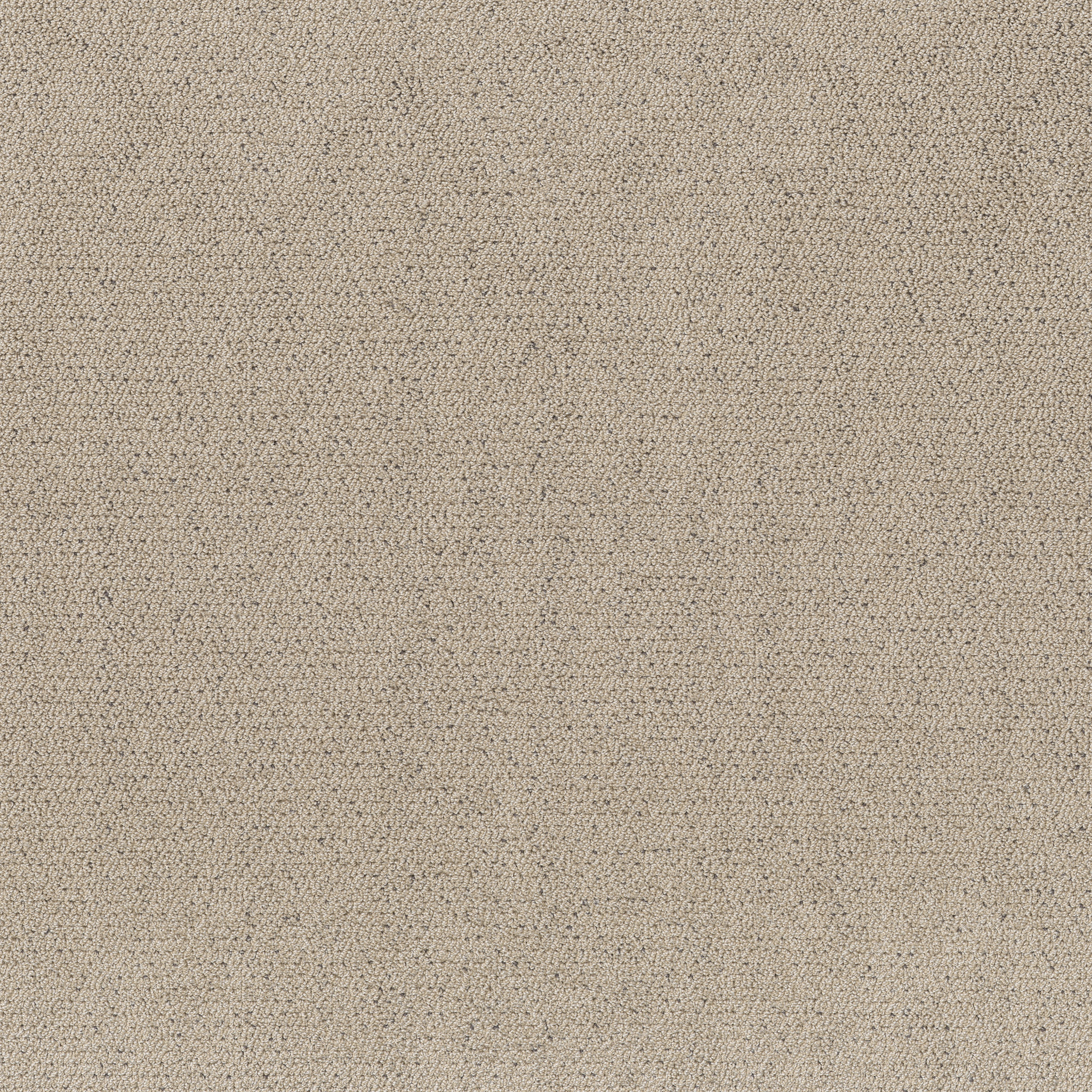 Intricate Trace WARM LIGHT MAIN