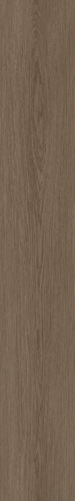 Dwell NATURAL UMBER 1TO1