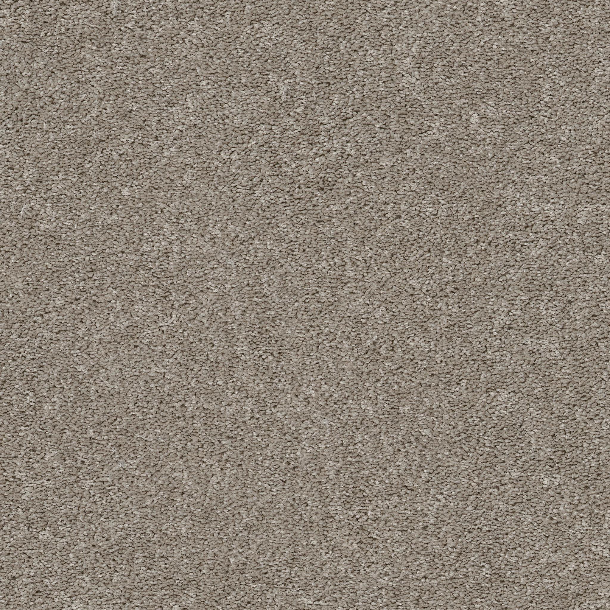 Smooth Talk I in Anew Grey