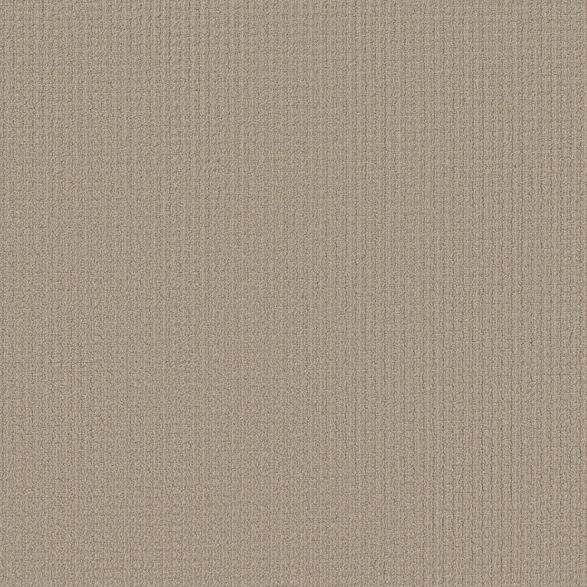 AERIAL ARTS TIRAMISU MAIN