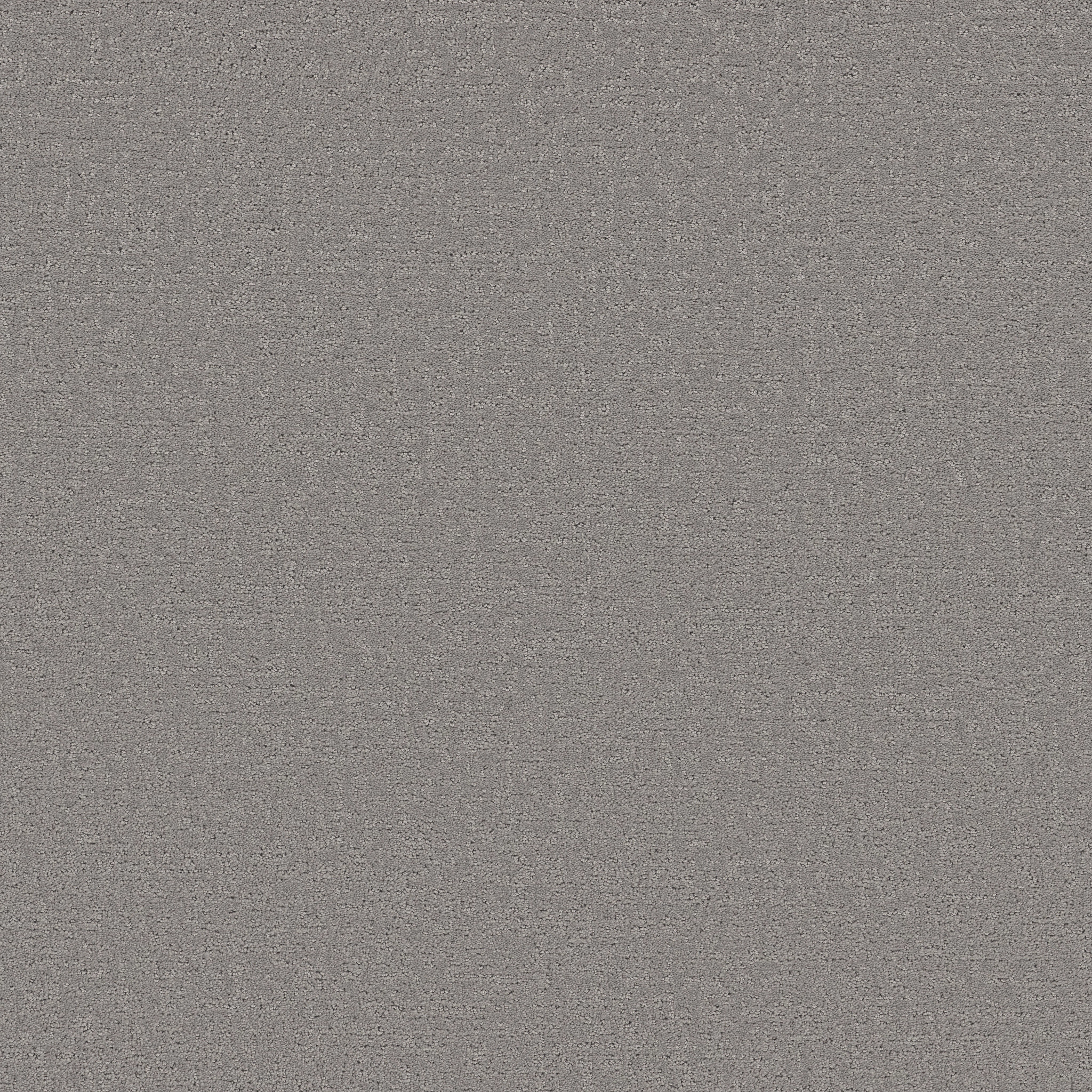 REFINED CANVAS DOLPHIN SIGHTING MAIN