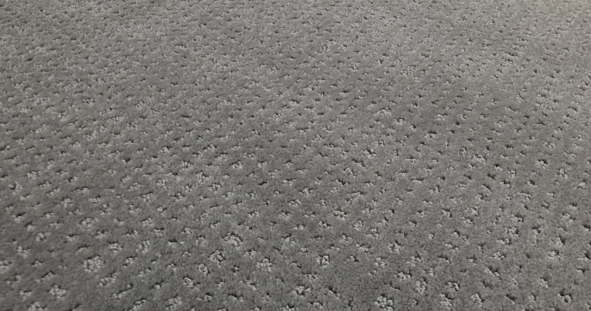 VIVID MEMORIES FRENCH MARKET 360PROD