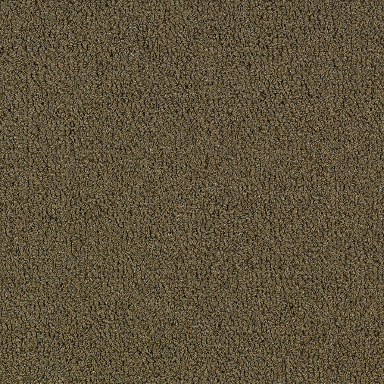 COLOR-ACCENTS-BL-54584-SUEDE-62740-main-image