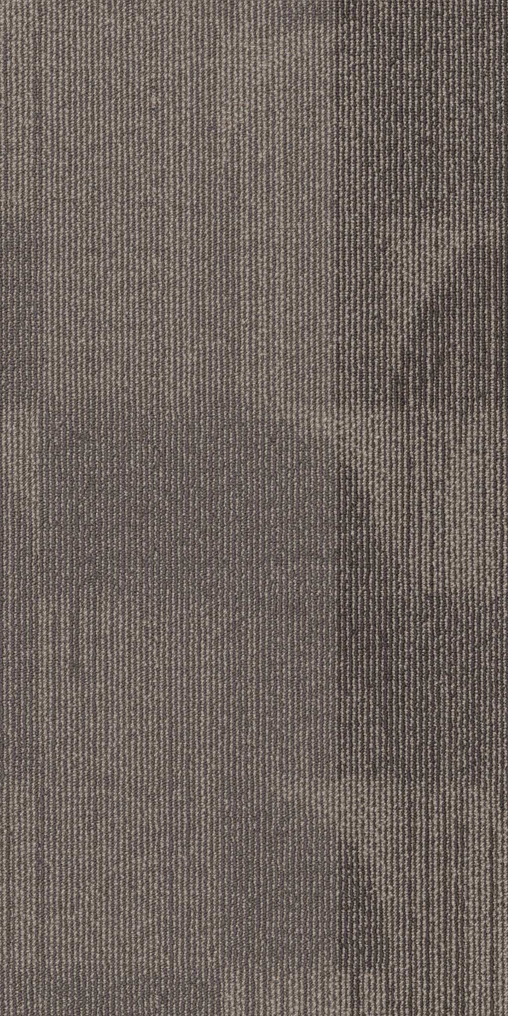 RESET-55006-MATURE-00500-main-image