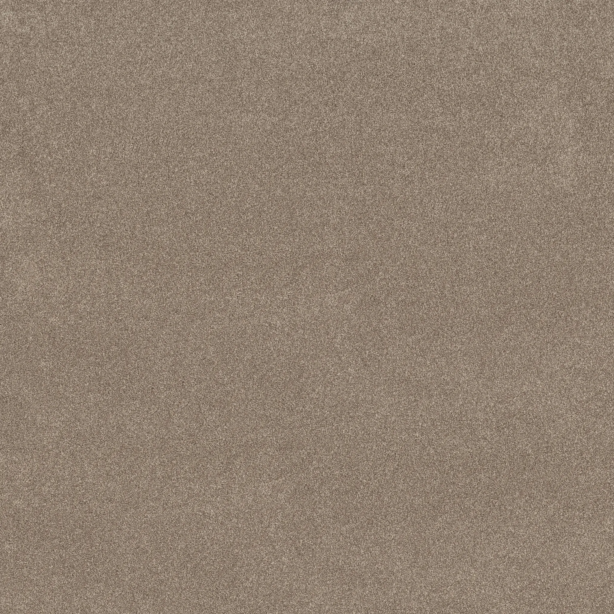 Neutral beige carpet swatch showcasing a soft and durable texture ideal for everyday home comfort