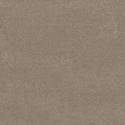 Durable Beige Carpet for Comfortable Home Living Neutral beige carpet swatch showcasing a soft and durable texture ideal for everyday home comfort