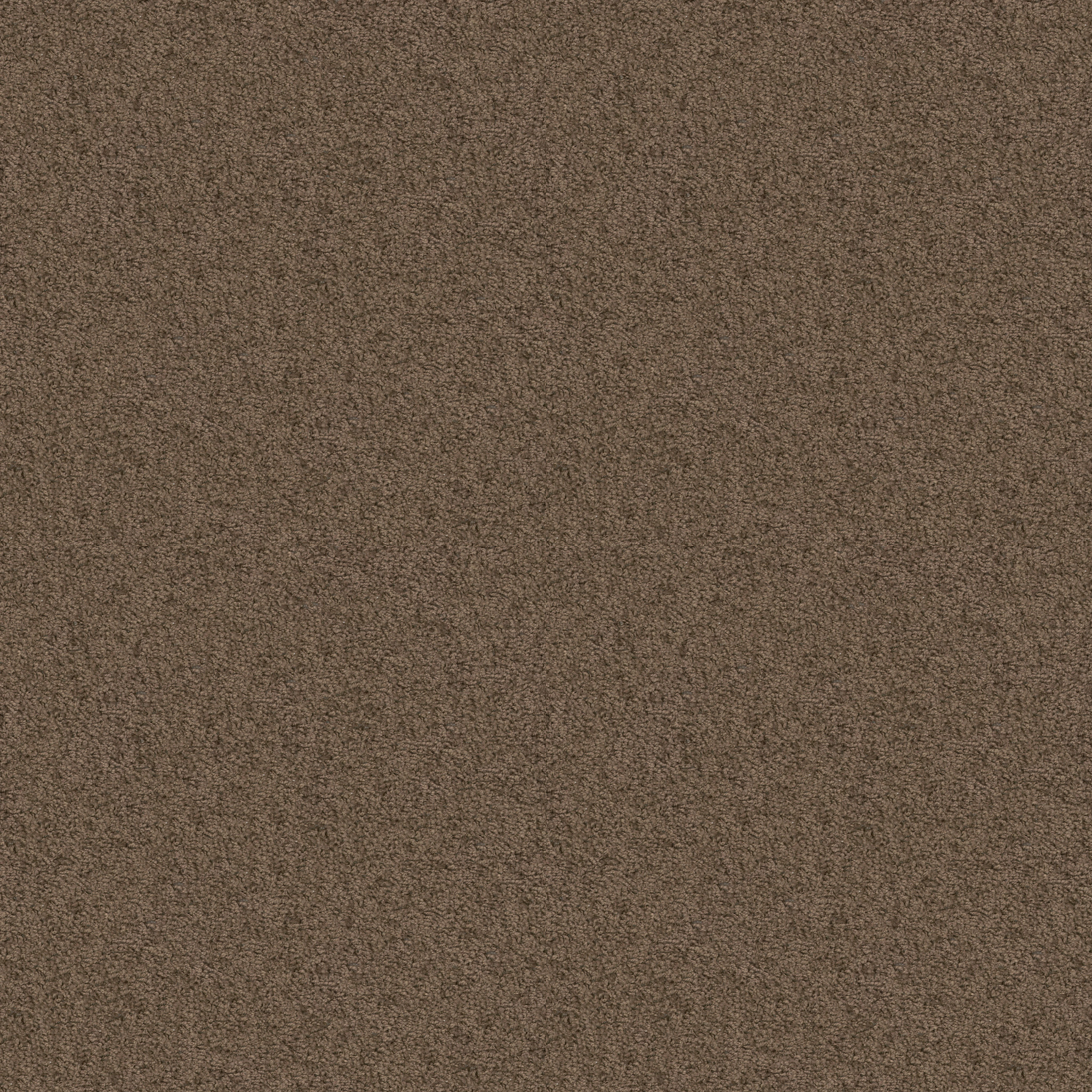 EXPECT MORE (S) BIRD HOUSE MAIN