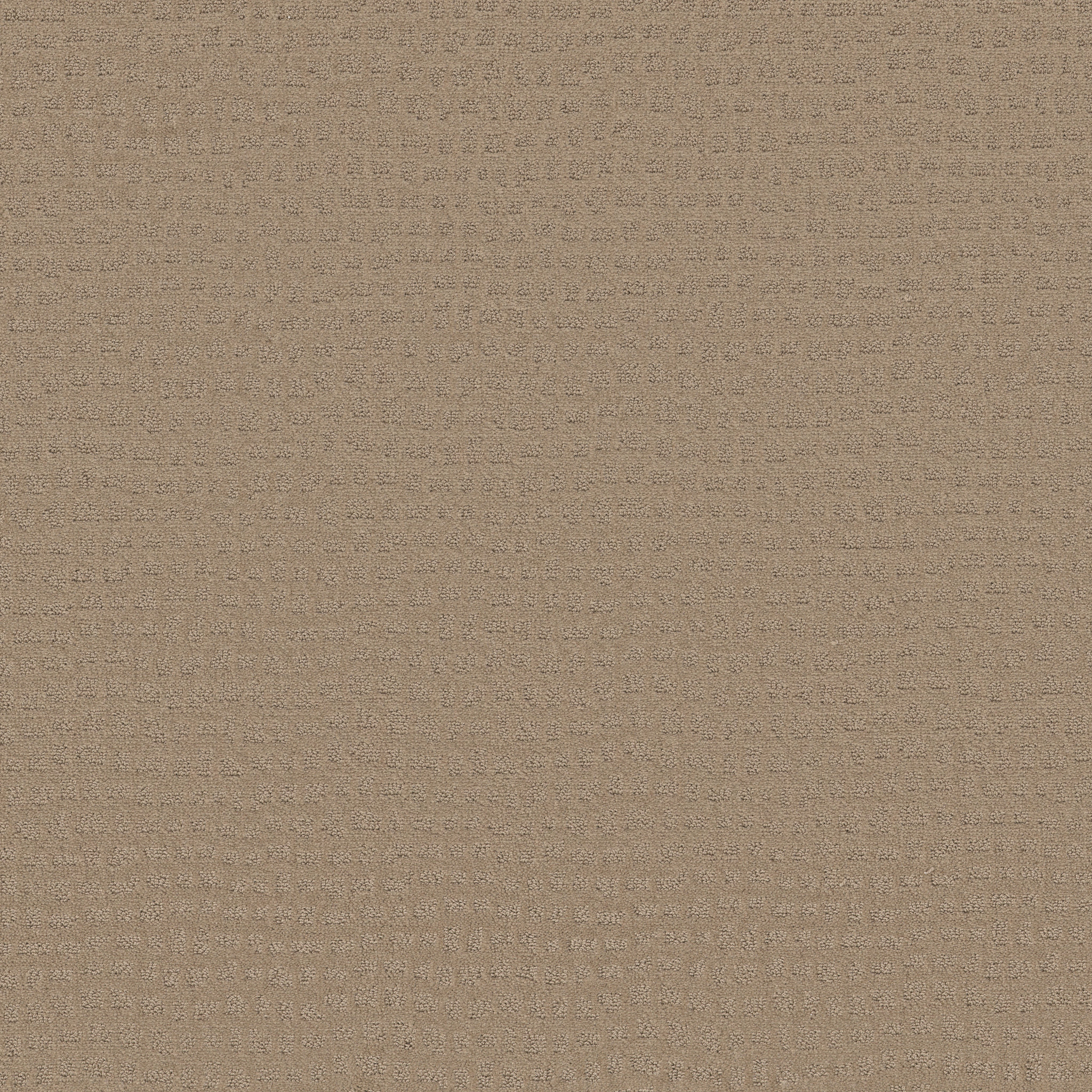 SOLSTICE BEACH GRASS MAIN