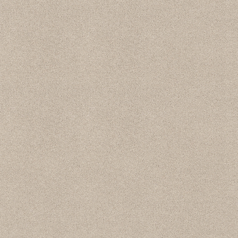 PURE COMFORT I in Vintage Quilt by Shaw Floors