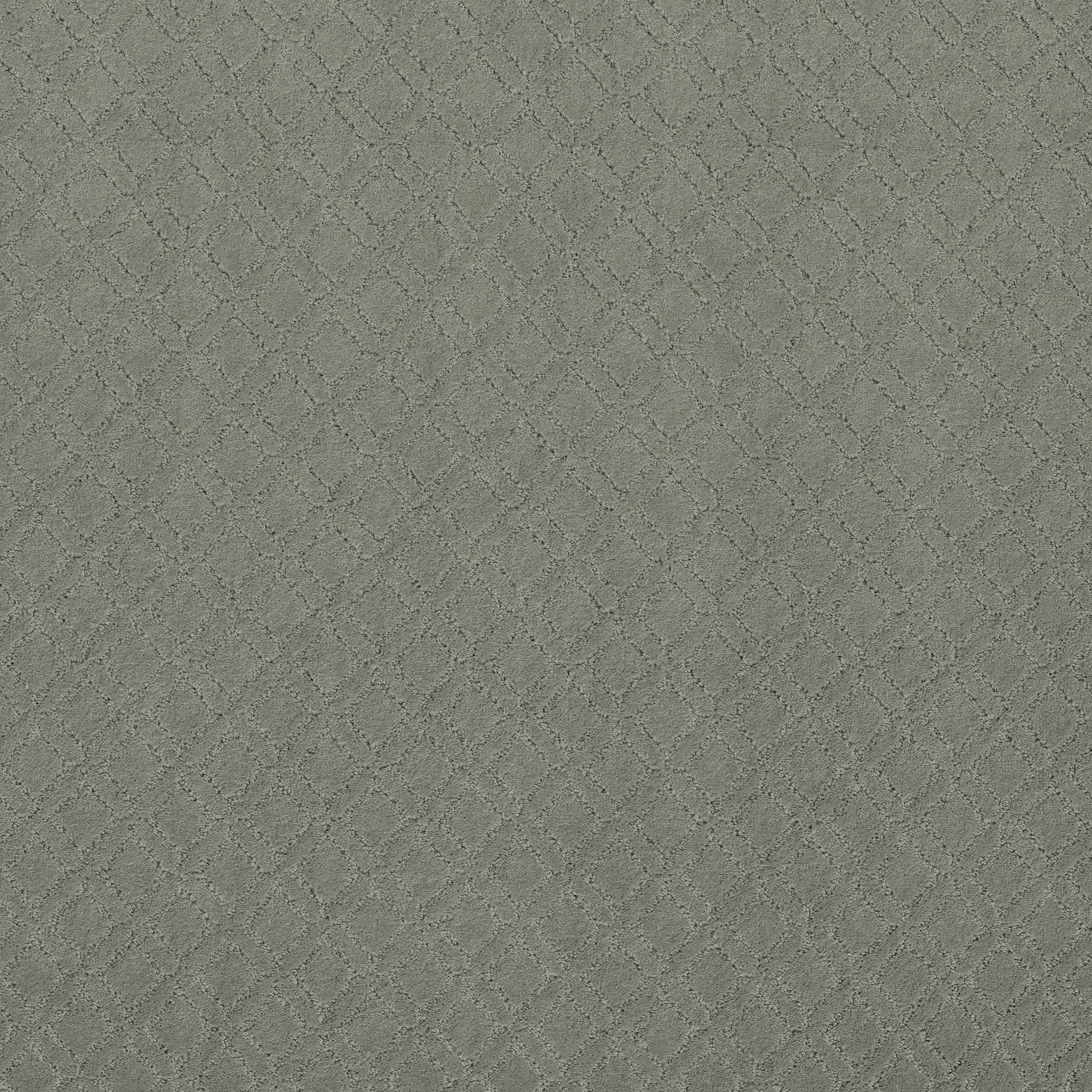 MUSE PINE FOREST MAIN