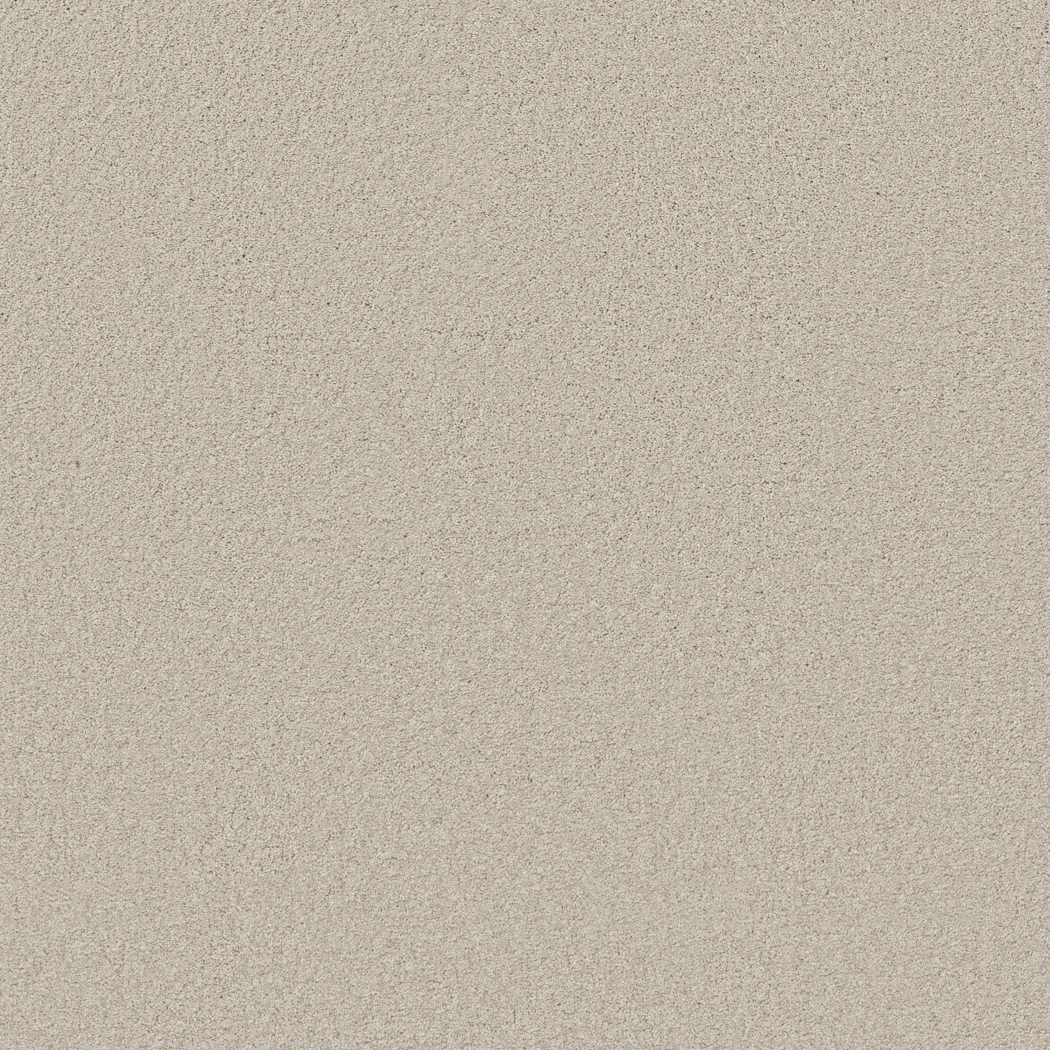 ENDURING COMFORT III POLAR MAIN