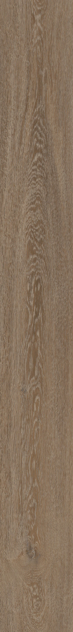 Laurent Oak LVP Flooring | COREtec