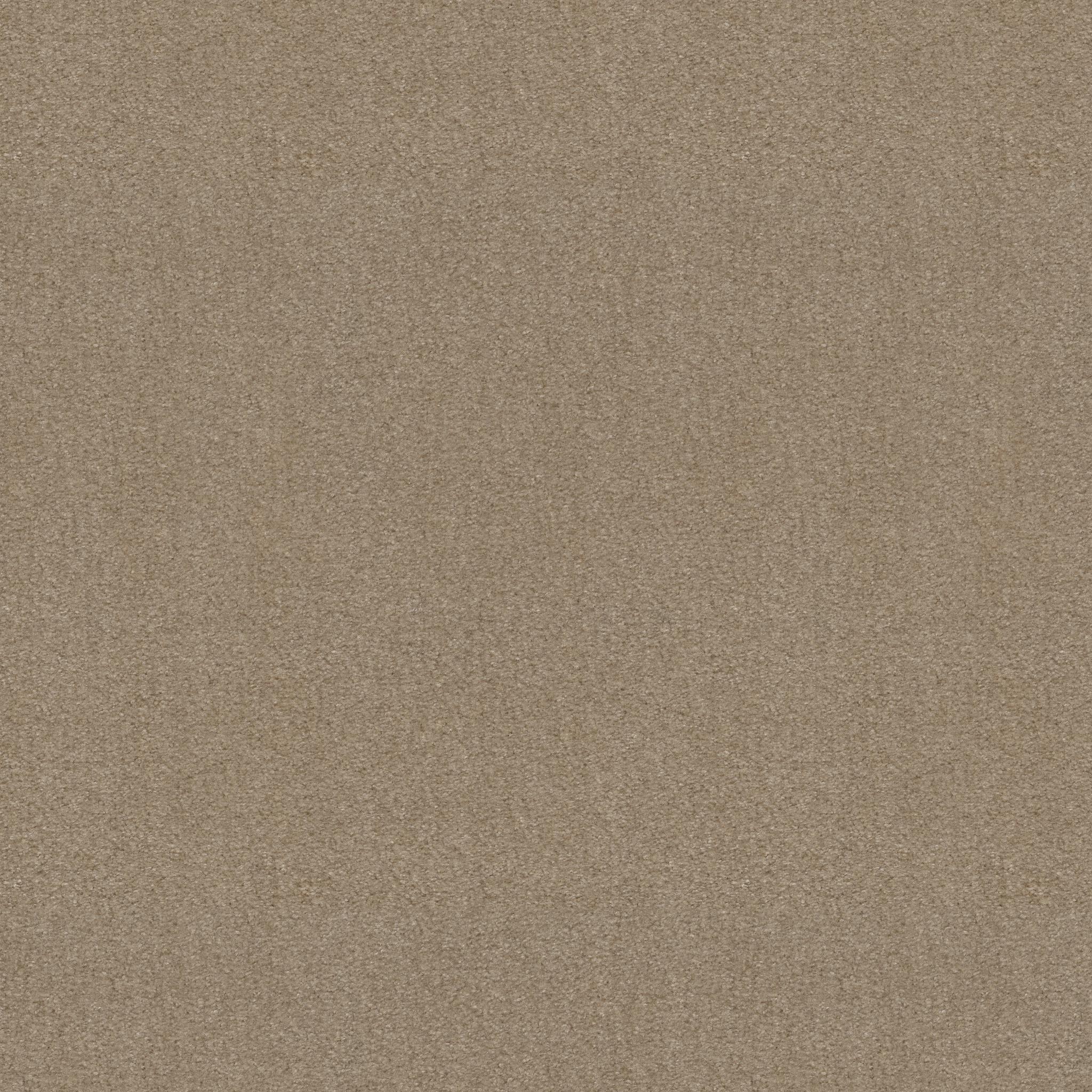 Heroic in Windsor Tan