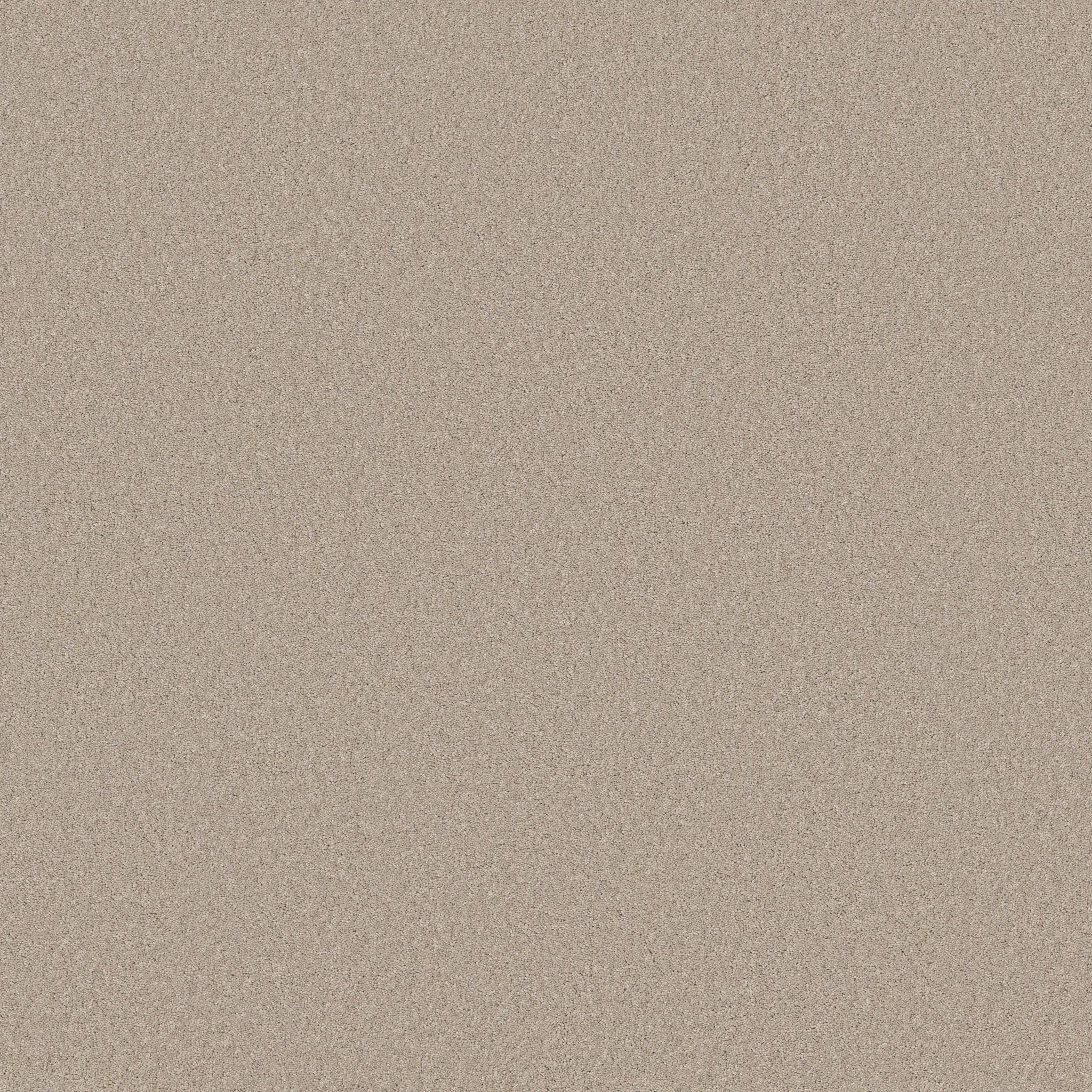 ENDURING CHARM SANDSHELL MAIN