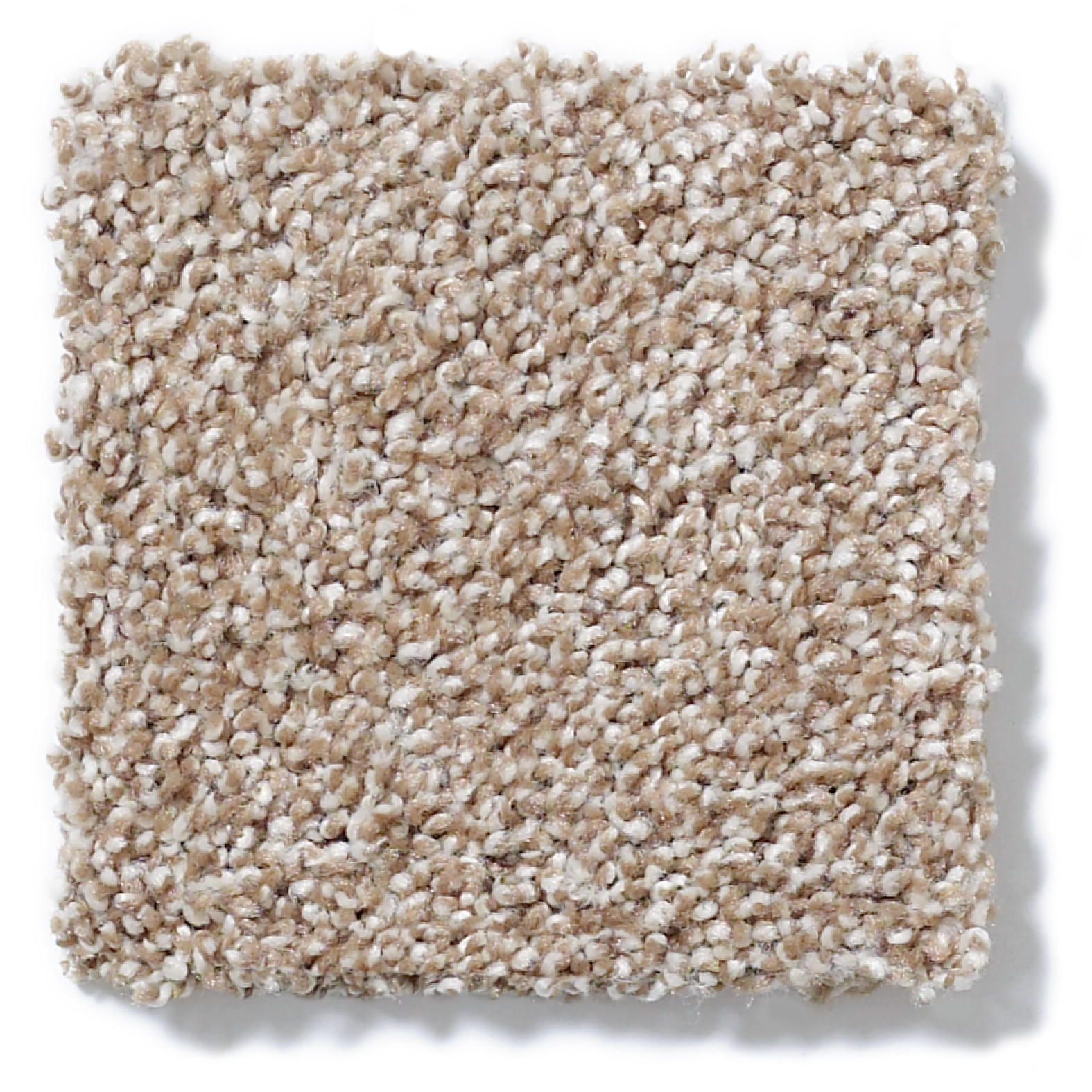 LOOK FORWARD MOLE HILL SWATCH