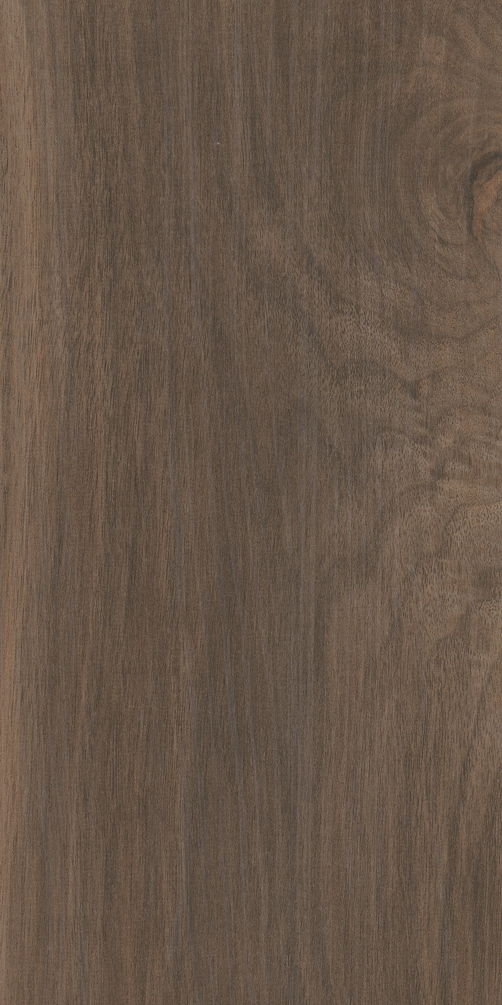 UPTOWN NOW 12 CANTON STREET SWATCH