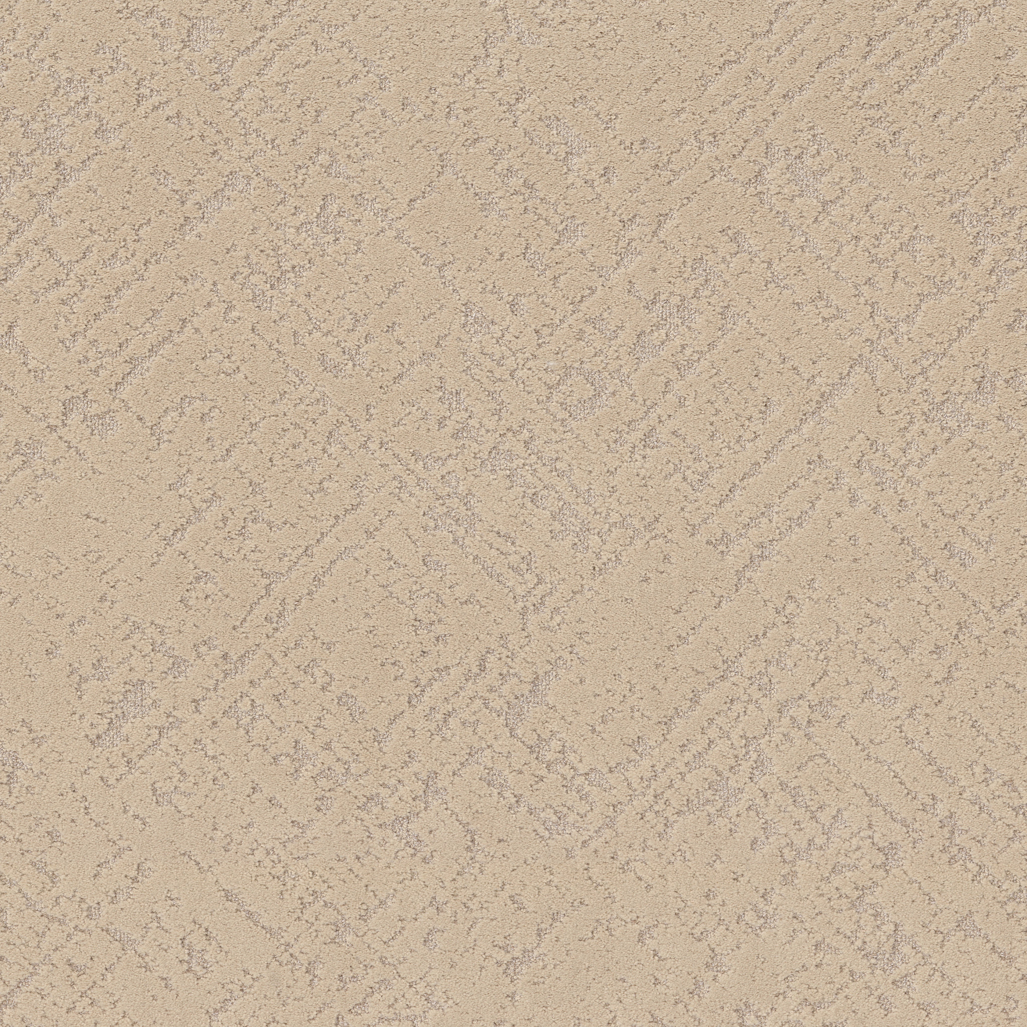 SINCERE FOCUS CASHEW MAIN