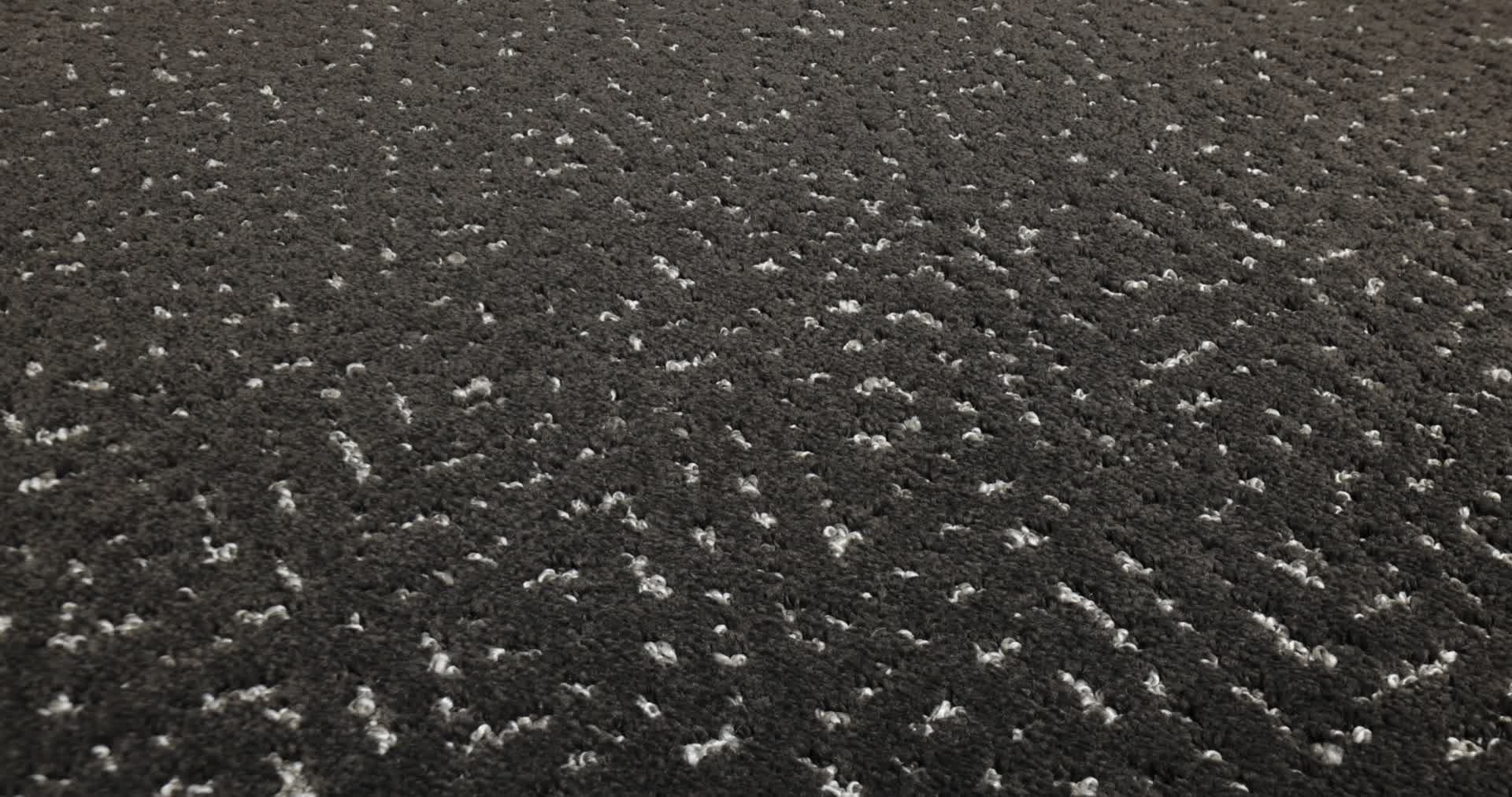 ELABORATE ARTIFACT CAFE NOIR 360PROD