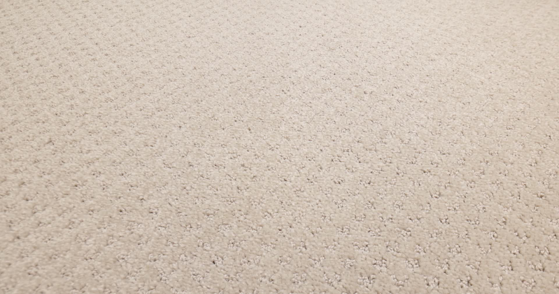 DEL VISTA DUNE 360PROD