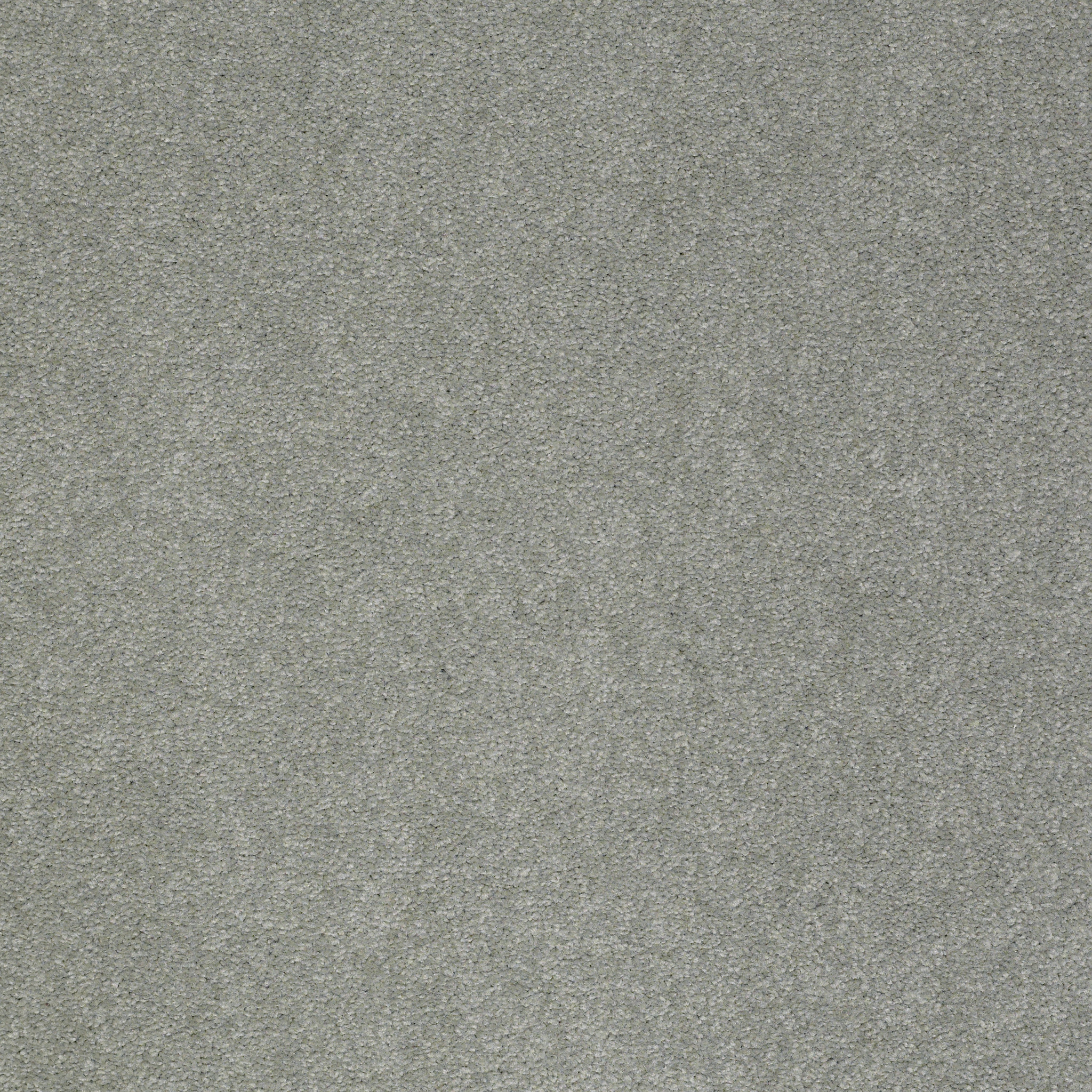 SANDY HOLLOW CLASSIC I 15 TROPICAL SURF MAIN