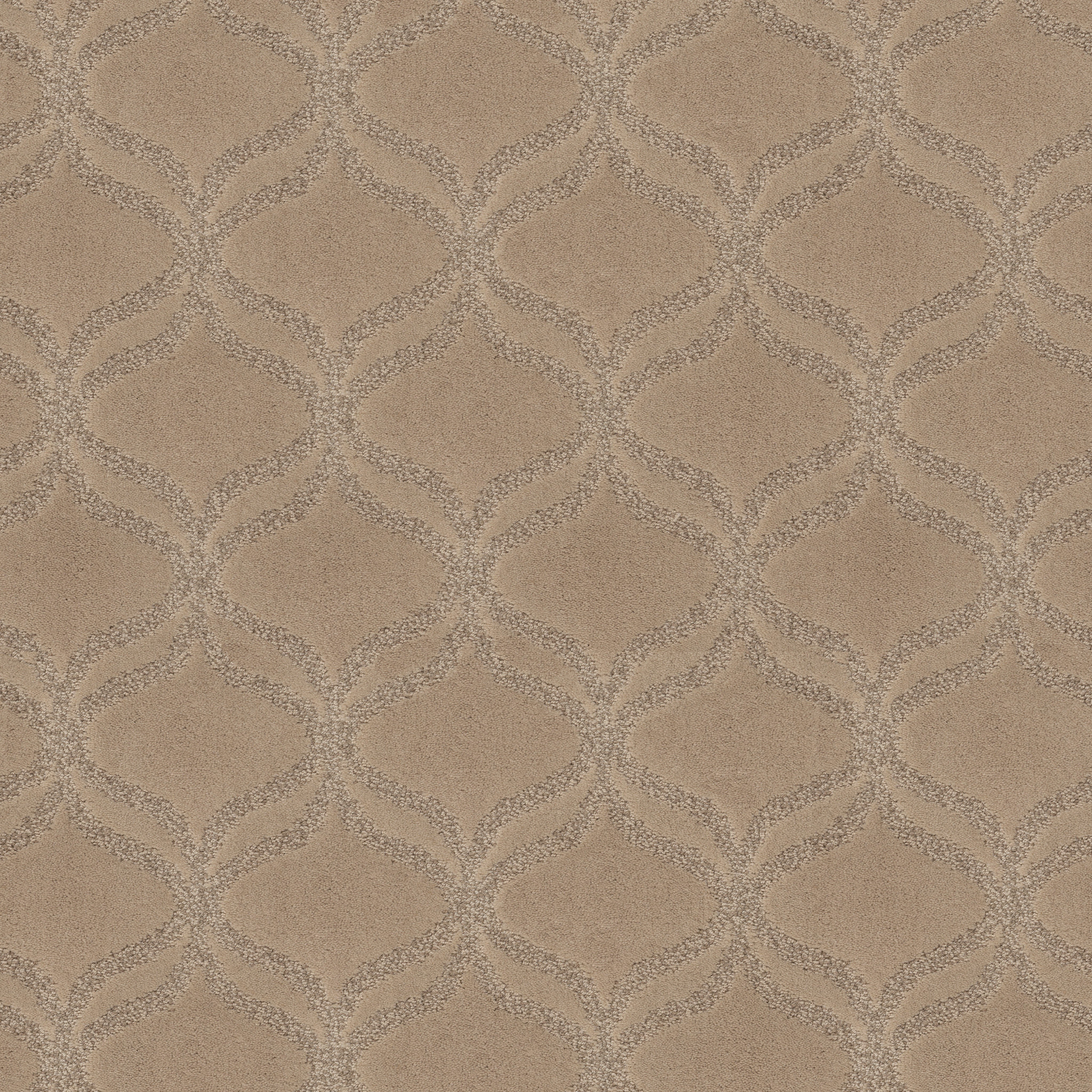 APPRECIATION FAWN MAIN