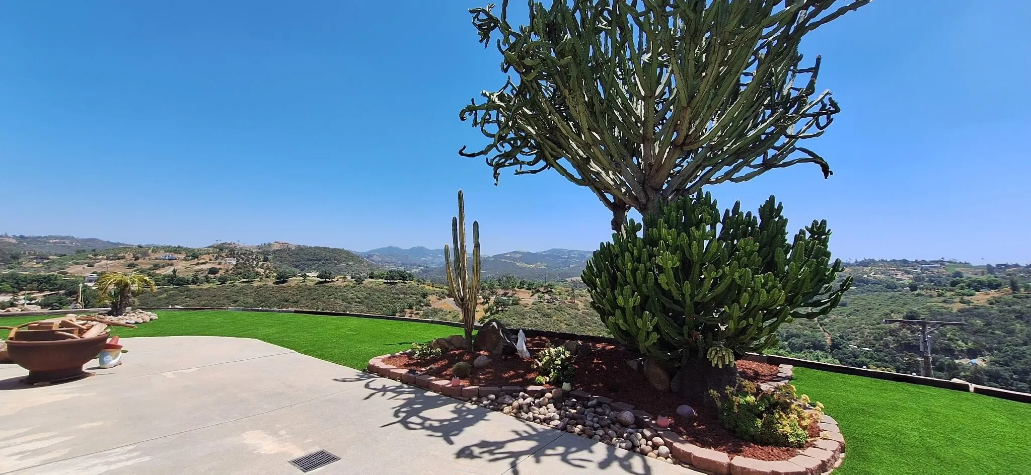 Scenic outdoor landscape with cacti and hills