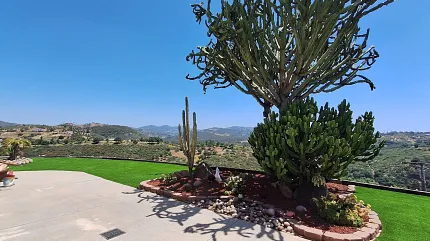 Beautiful garden view with desert plants and rolling hills Scenic outdoor landscape with cacti and hills