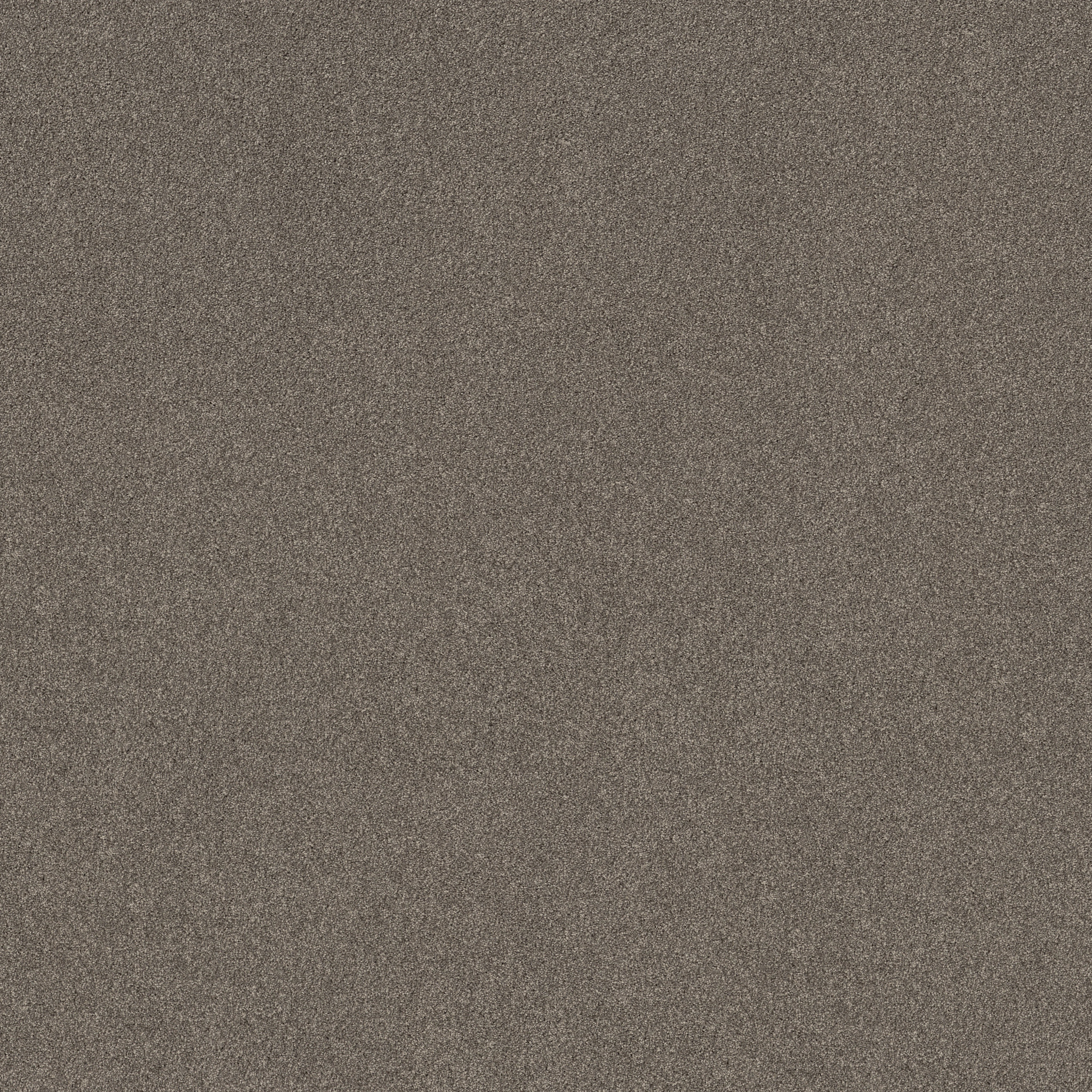 NEW MEMORIES T HIDEAWAY MAIN