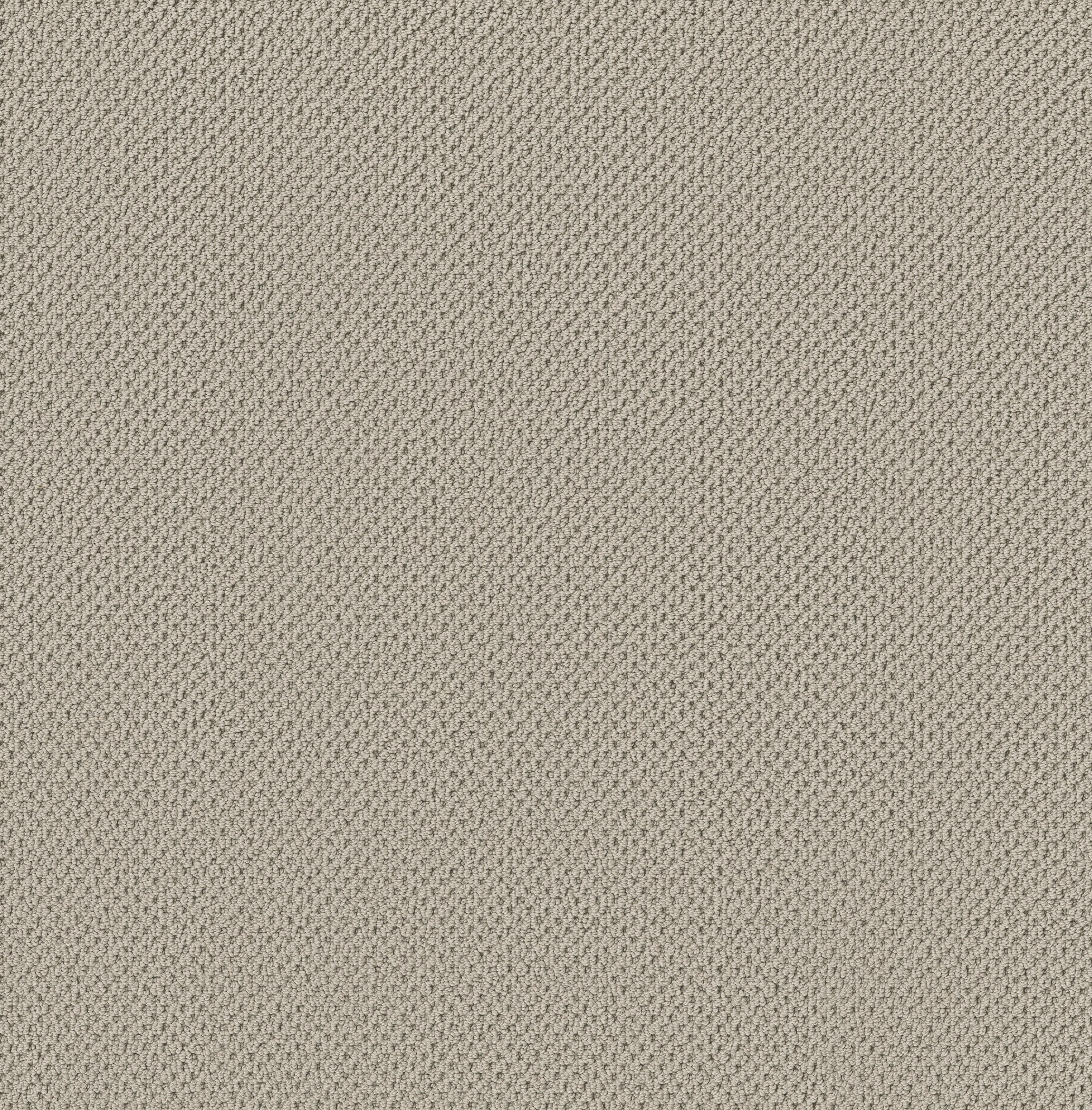 GRACIOUS PUMICE STONE MAIN